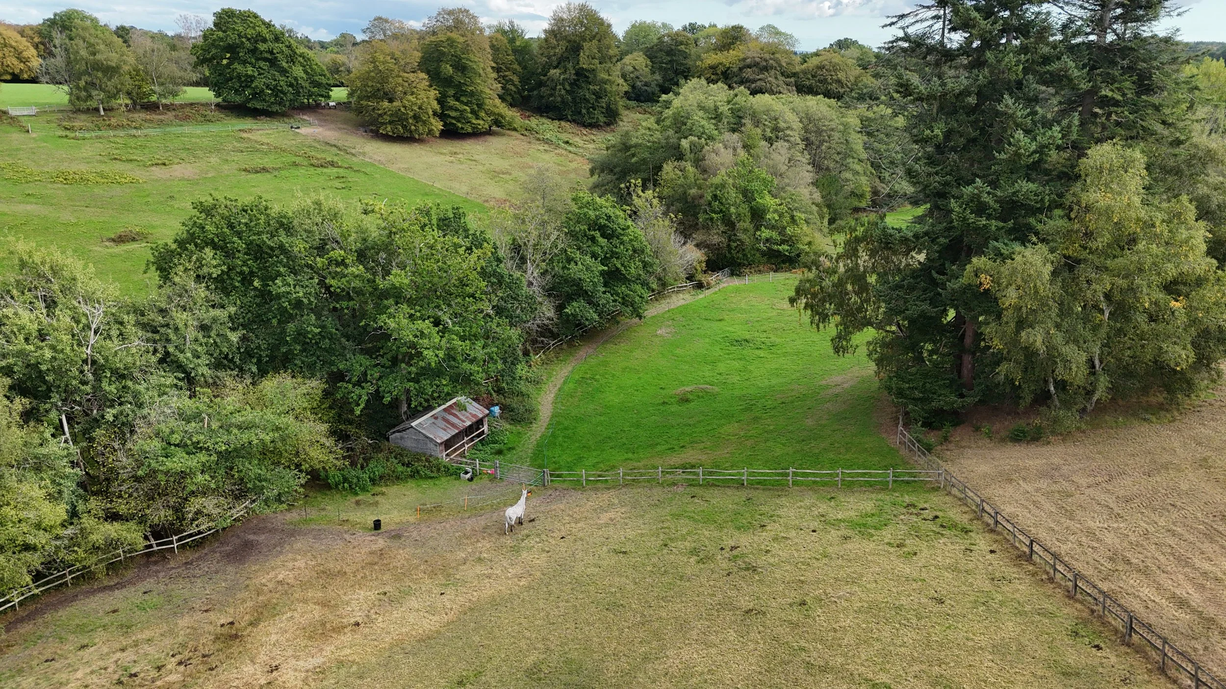 Pepper Alley Drone-20.jpg