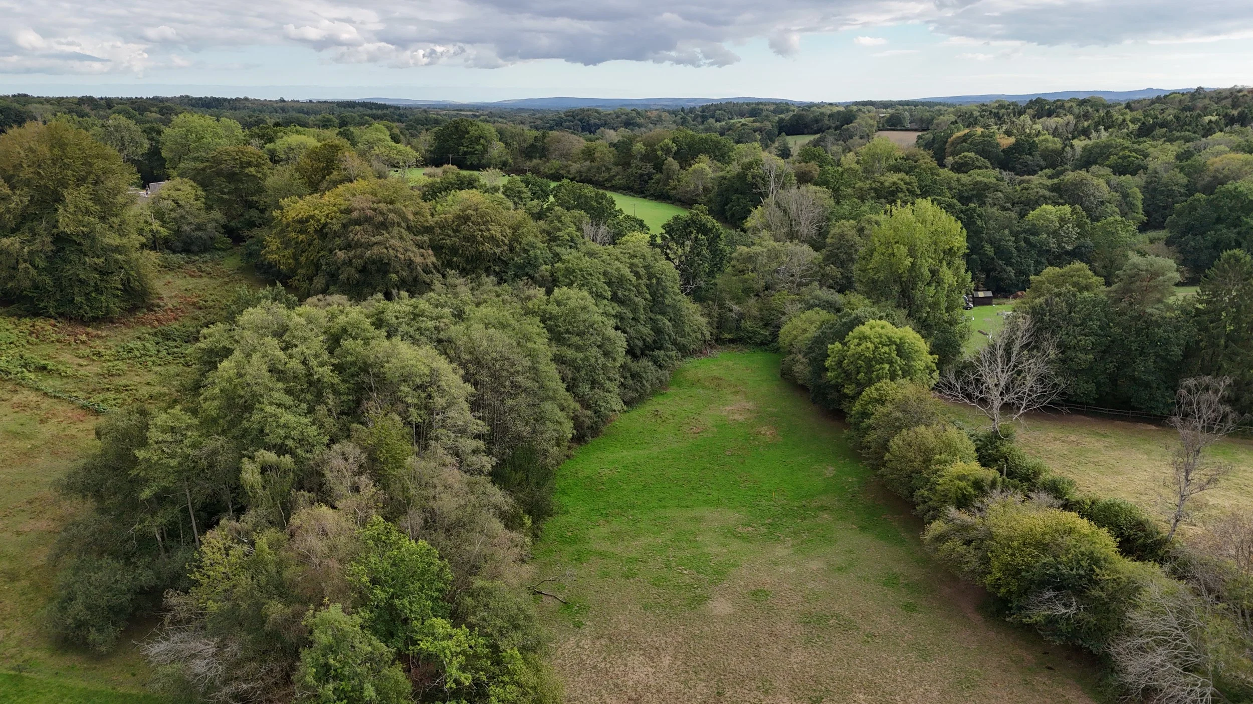 Pepper Alley Drone-21.jpg