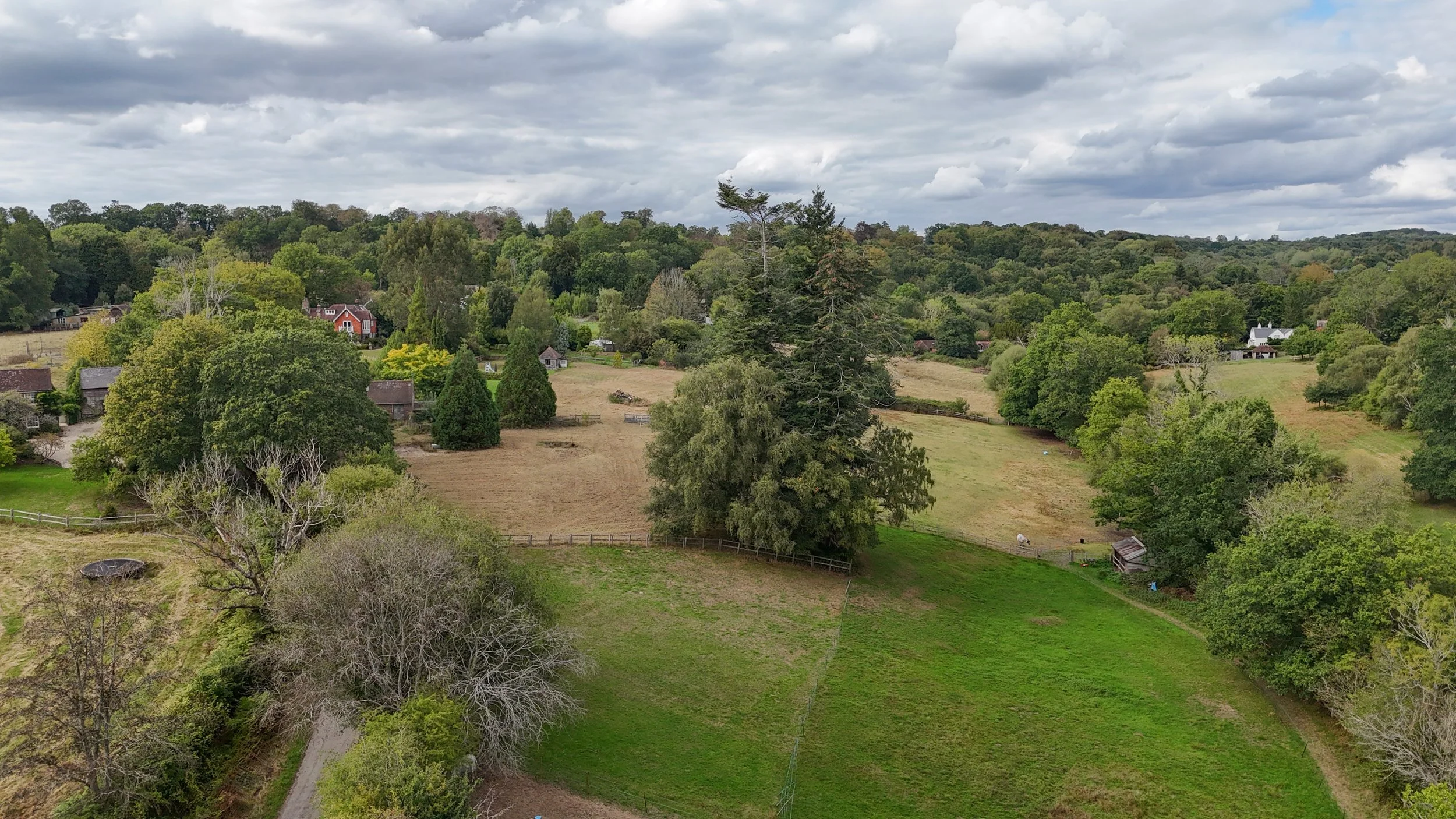 Pepper Alley Drone-23.jpg