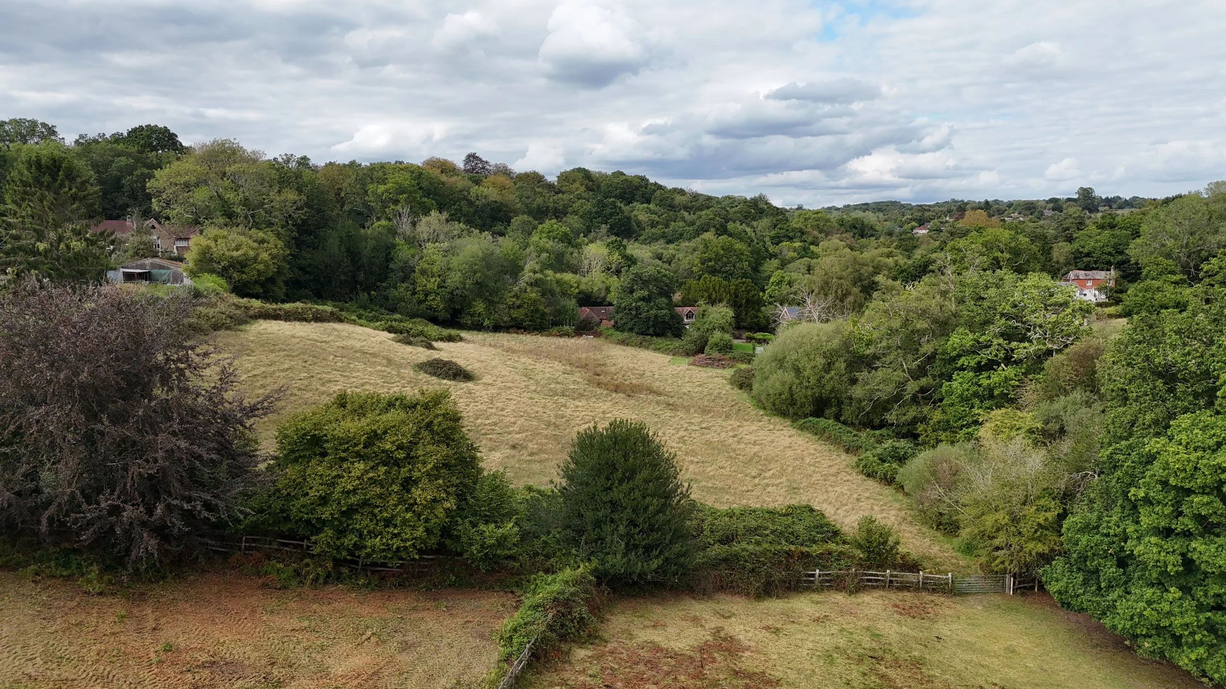 Pepper Alley Drone-26.jpg
