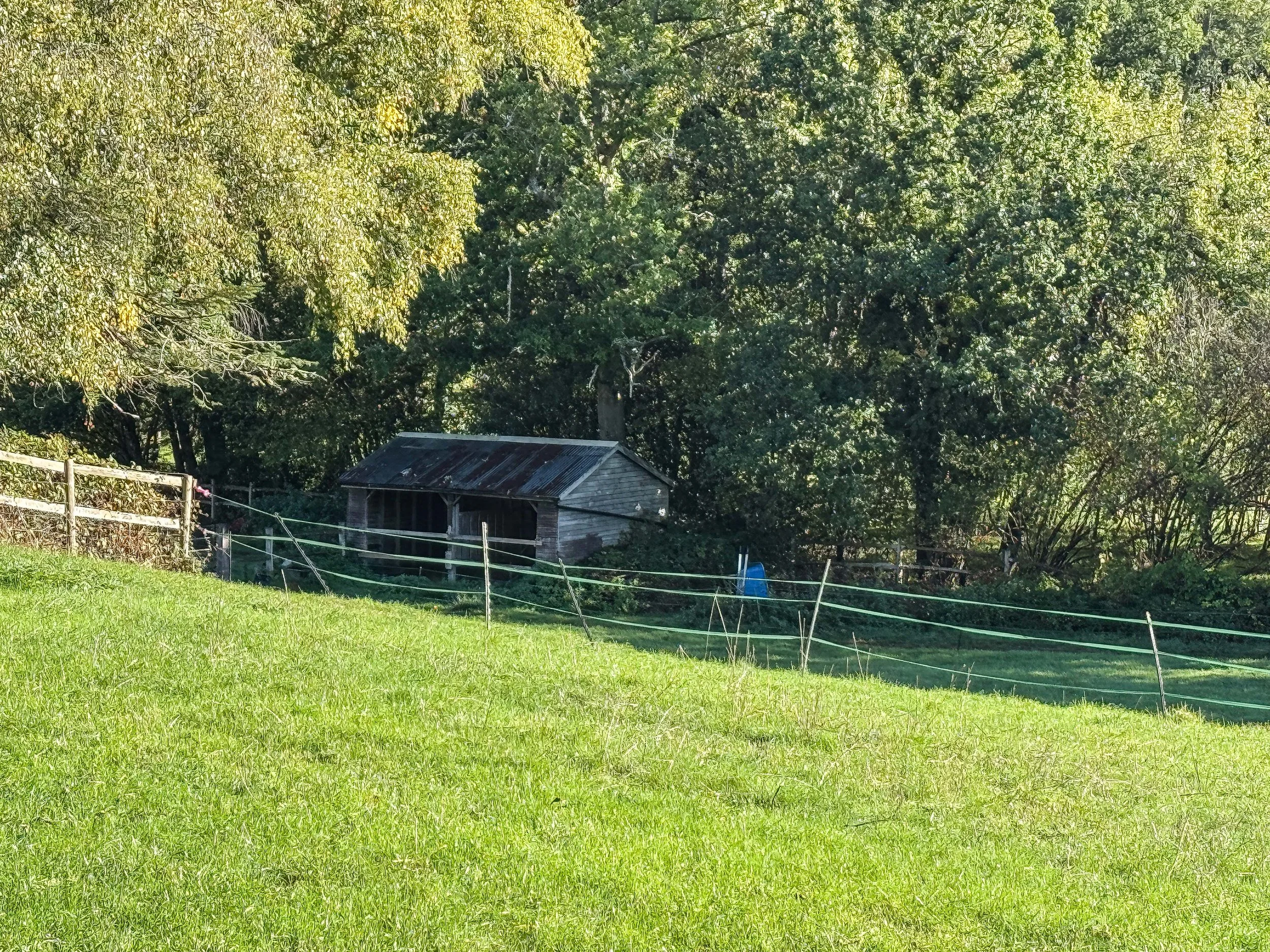 IMG_8580.jpg