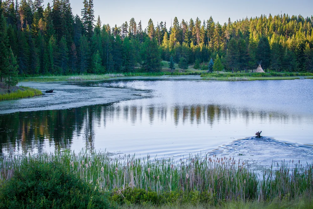 About — Buck Quarter Ranch