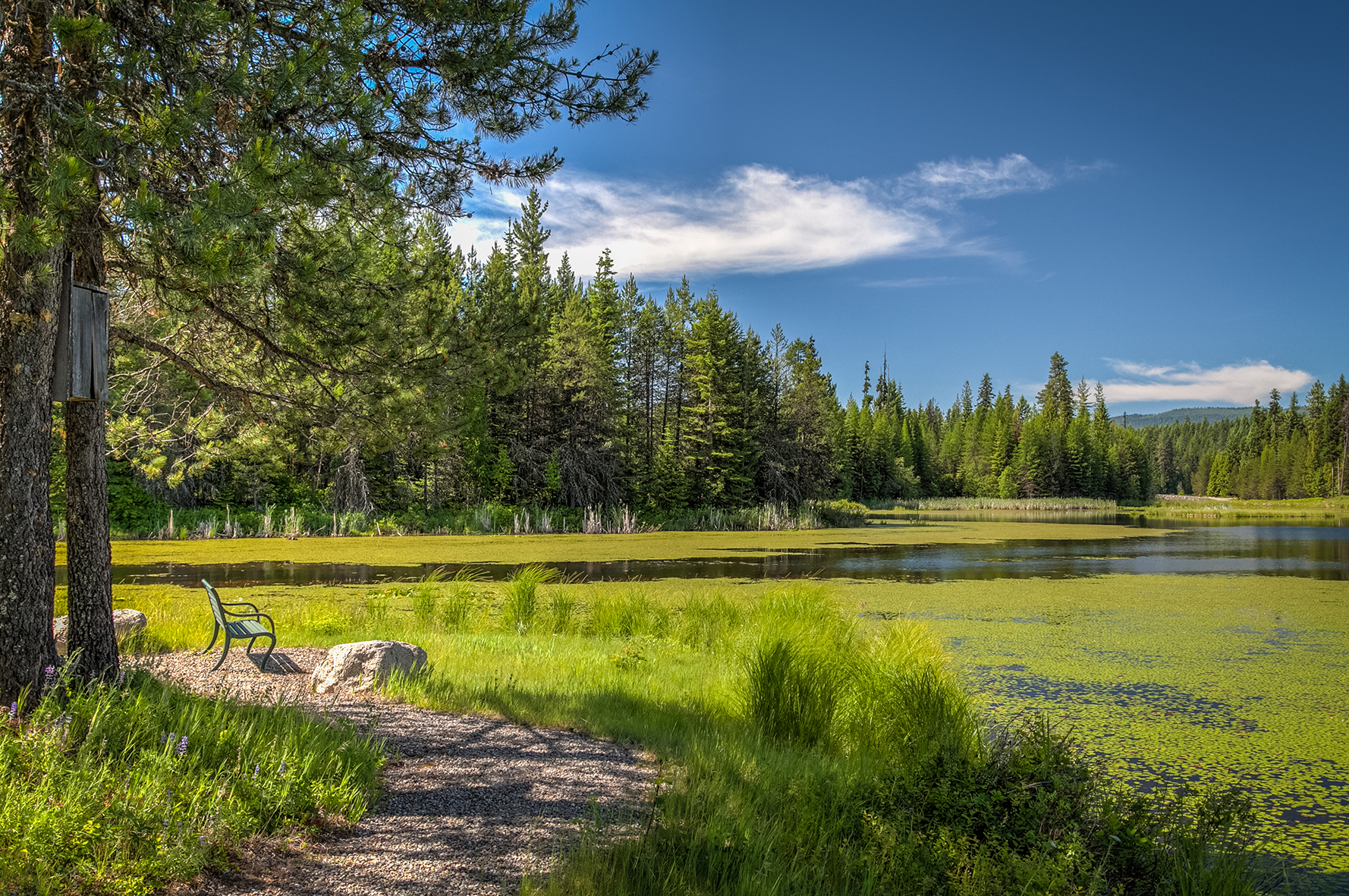 Buck Quarter Ranch-317.jpg