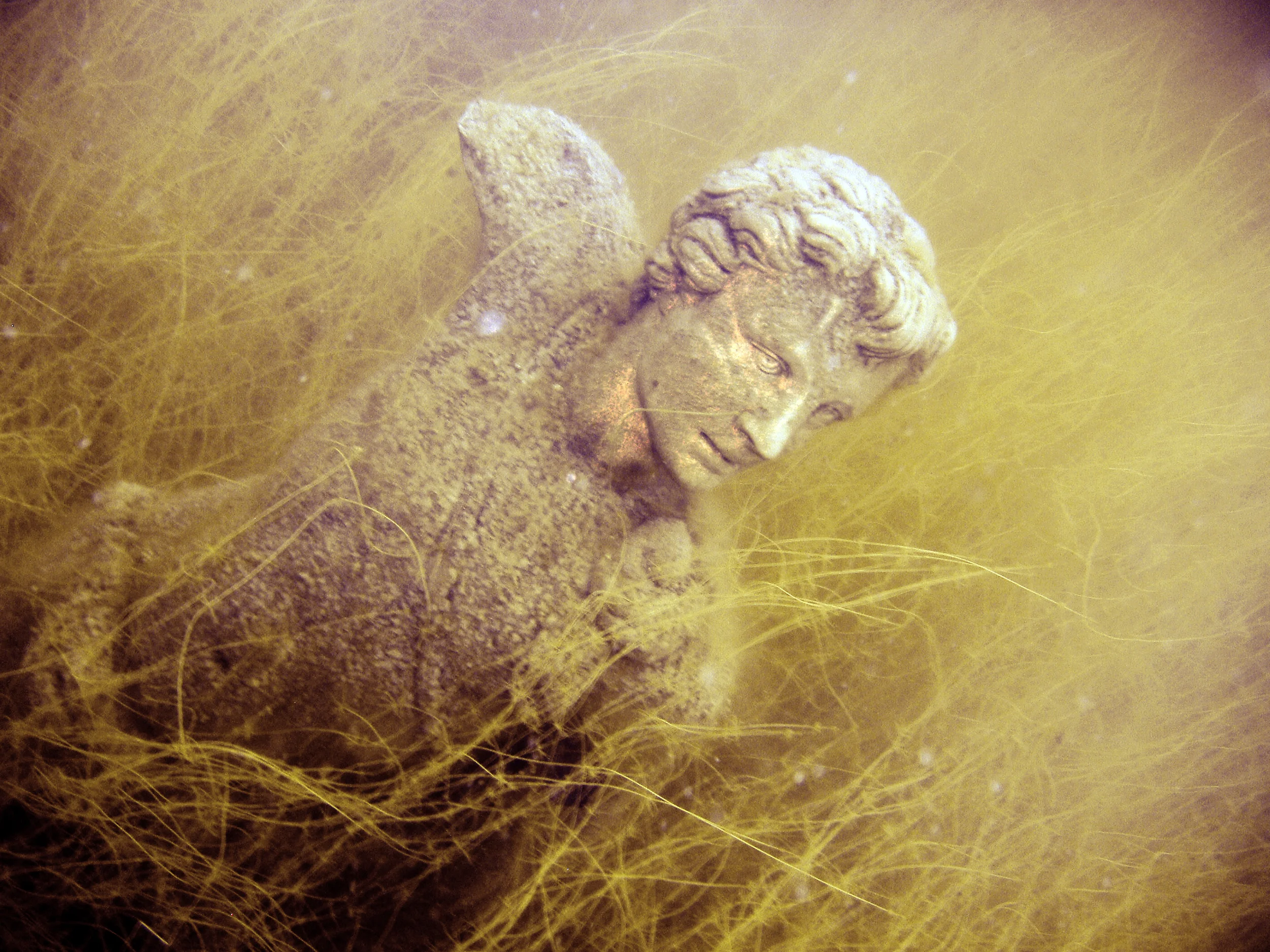 underwaterStatute.jpg