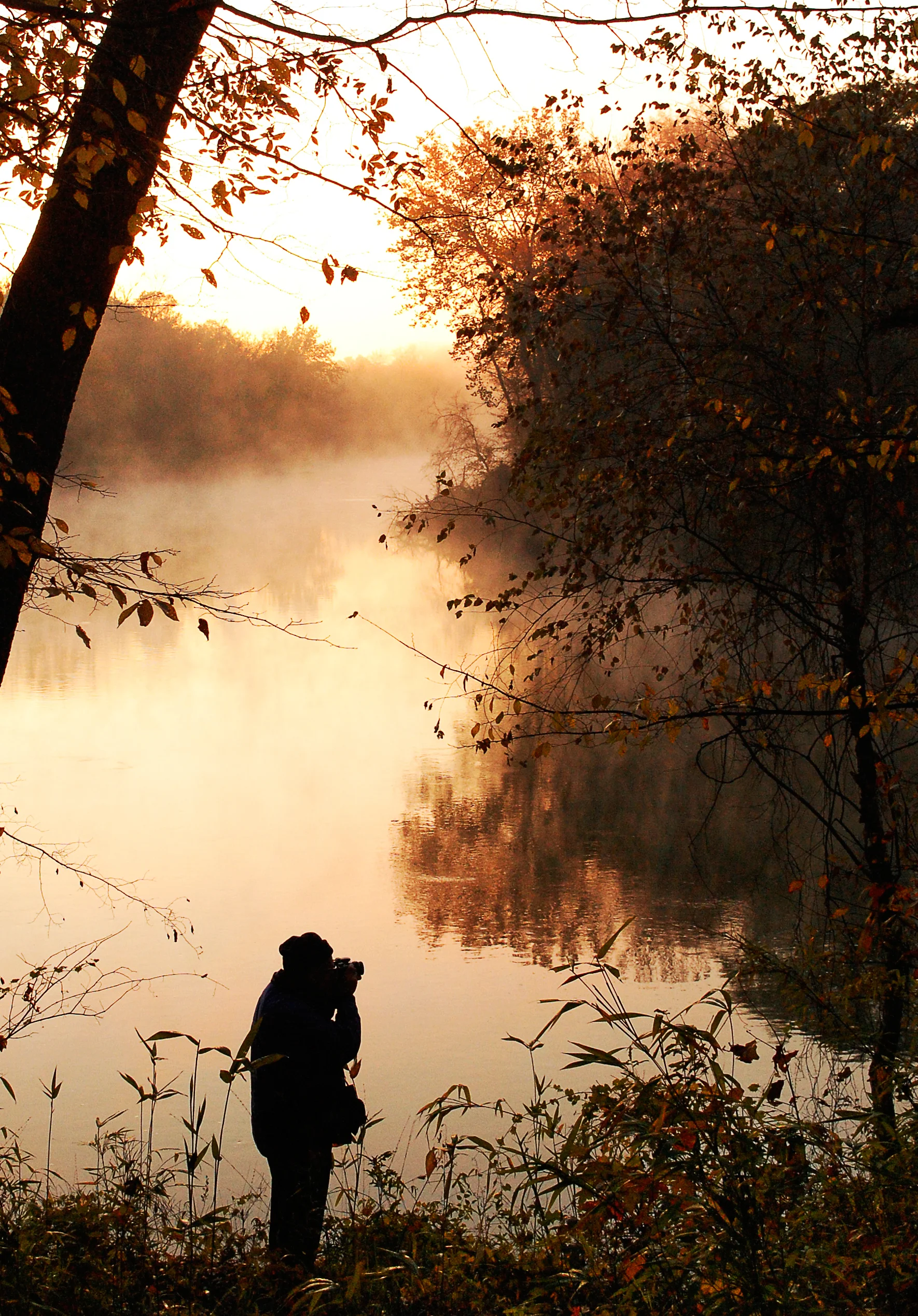 National Geographic Photographer Portrait, McIntosh Reserve, Whitesburg, GA