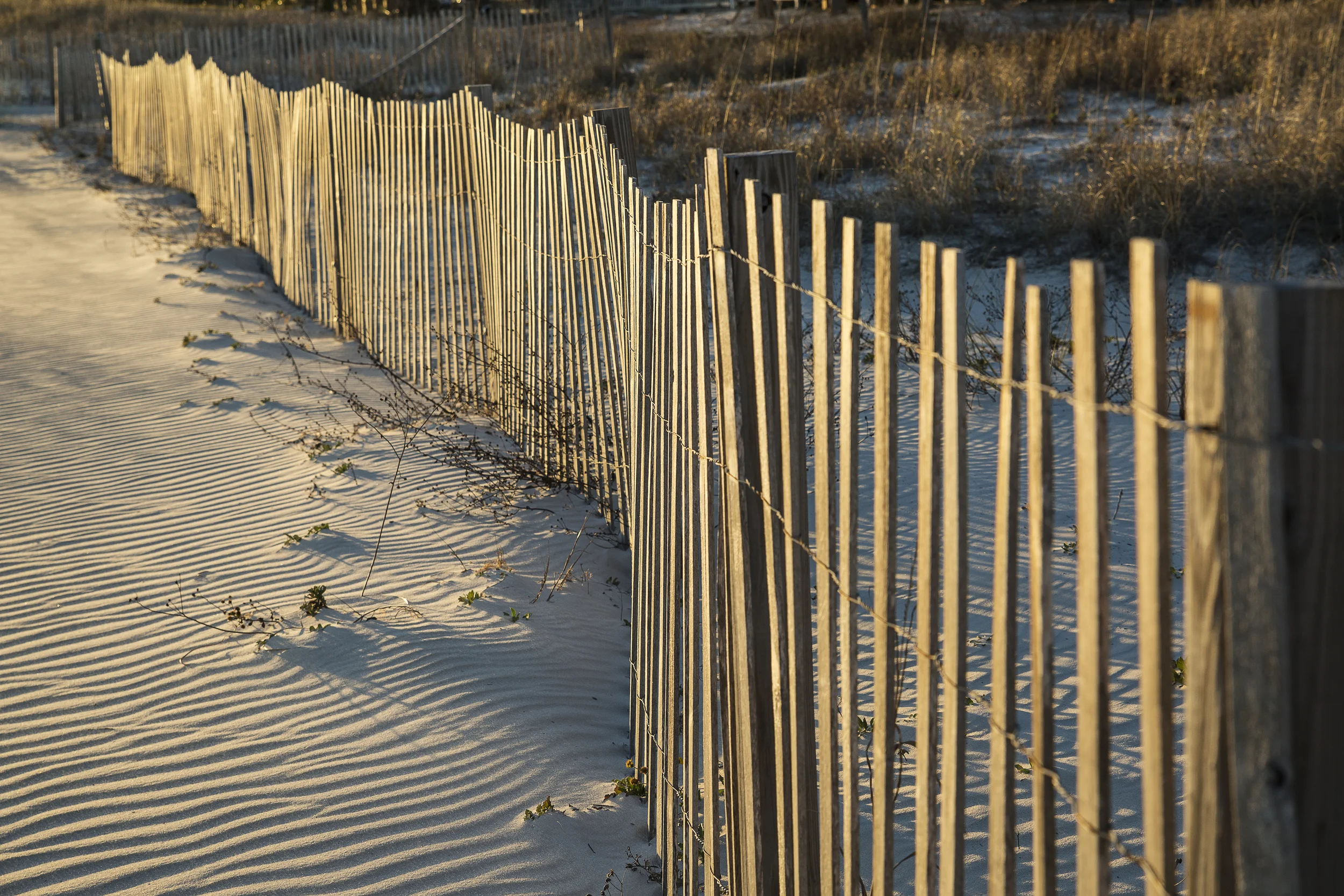 Biloxi-39_Clean.jpg