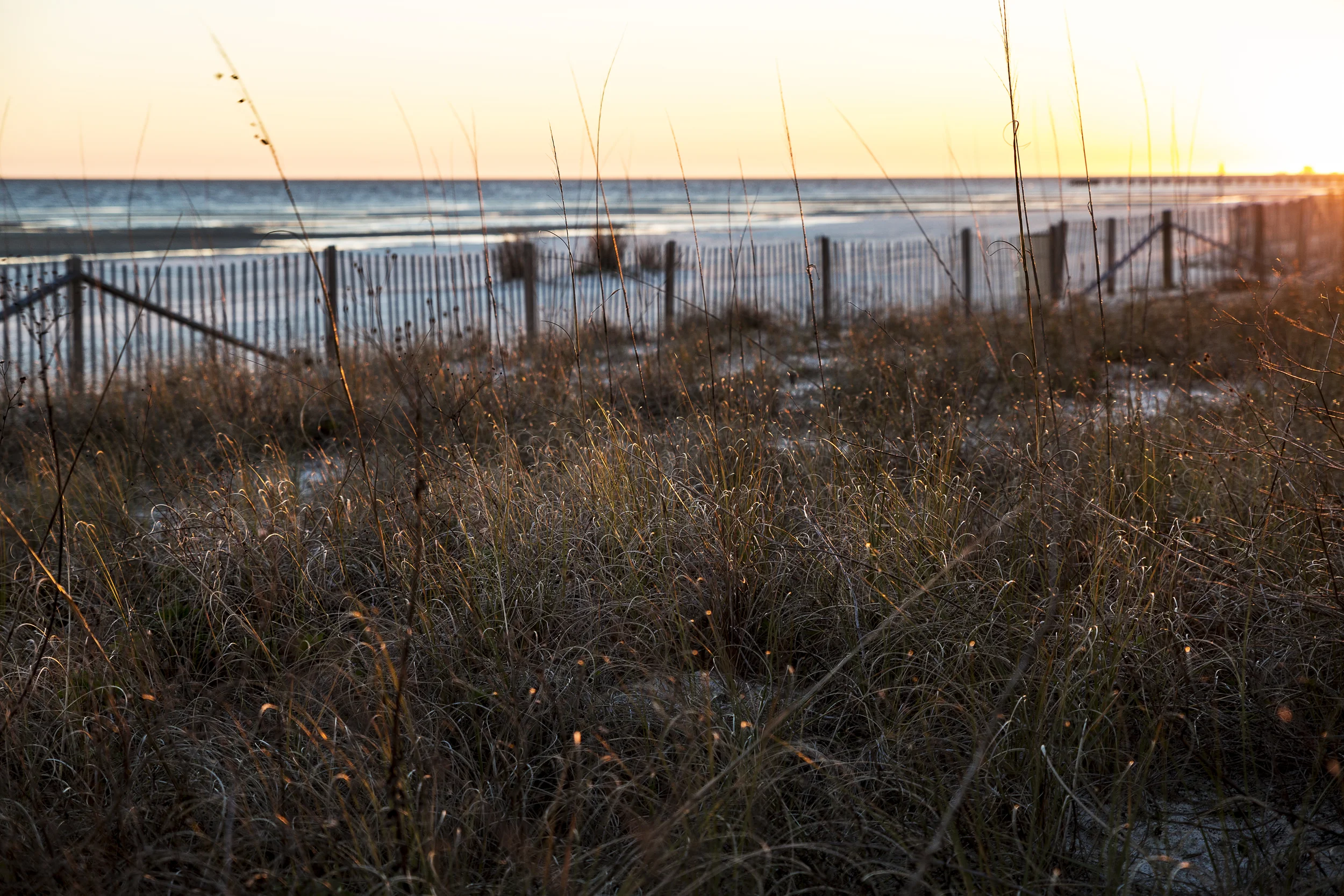 Biloxi-75_Clean.jpg