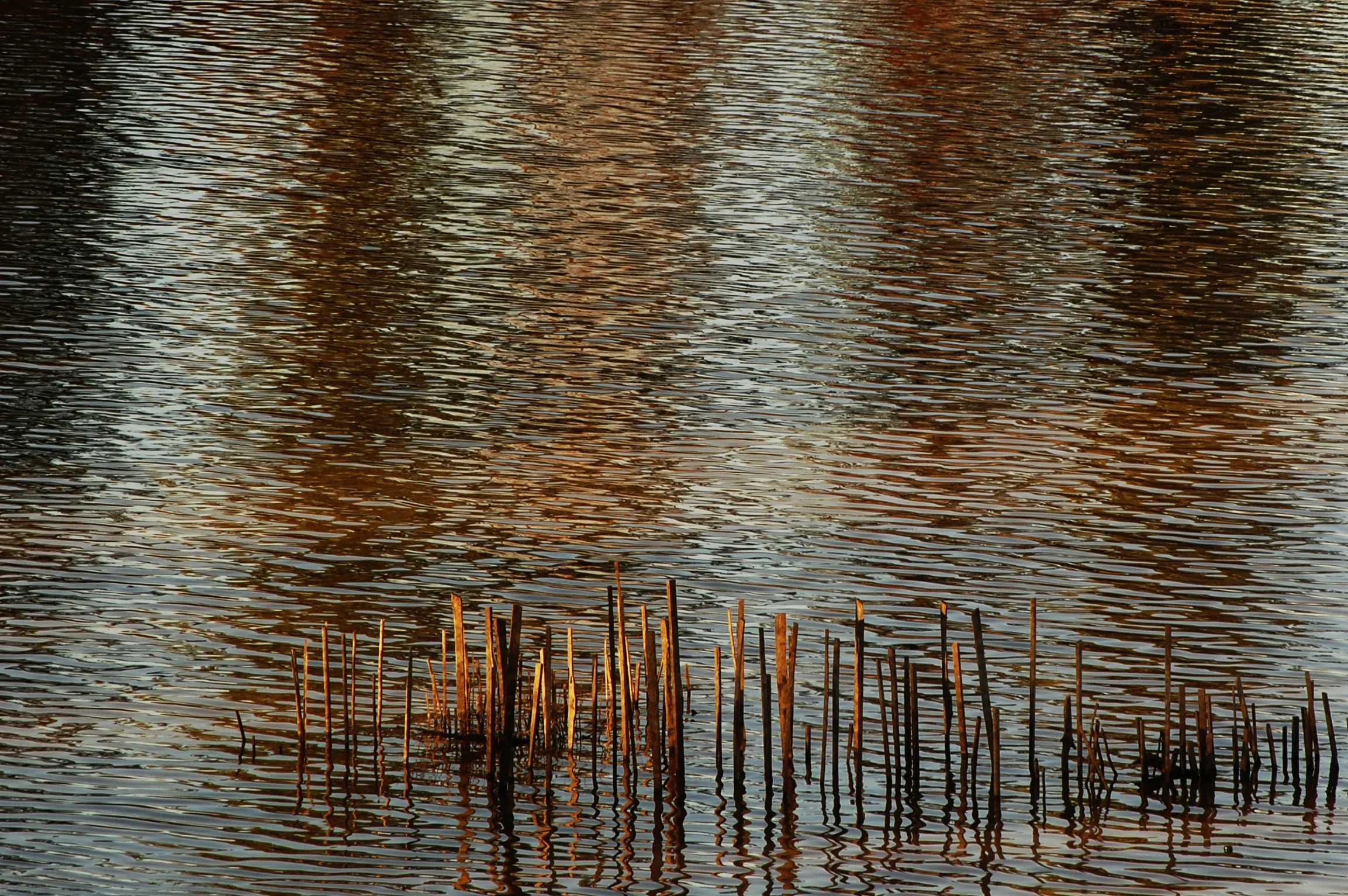 Lake Arkabutle, Mississippi