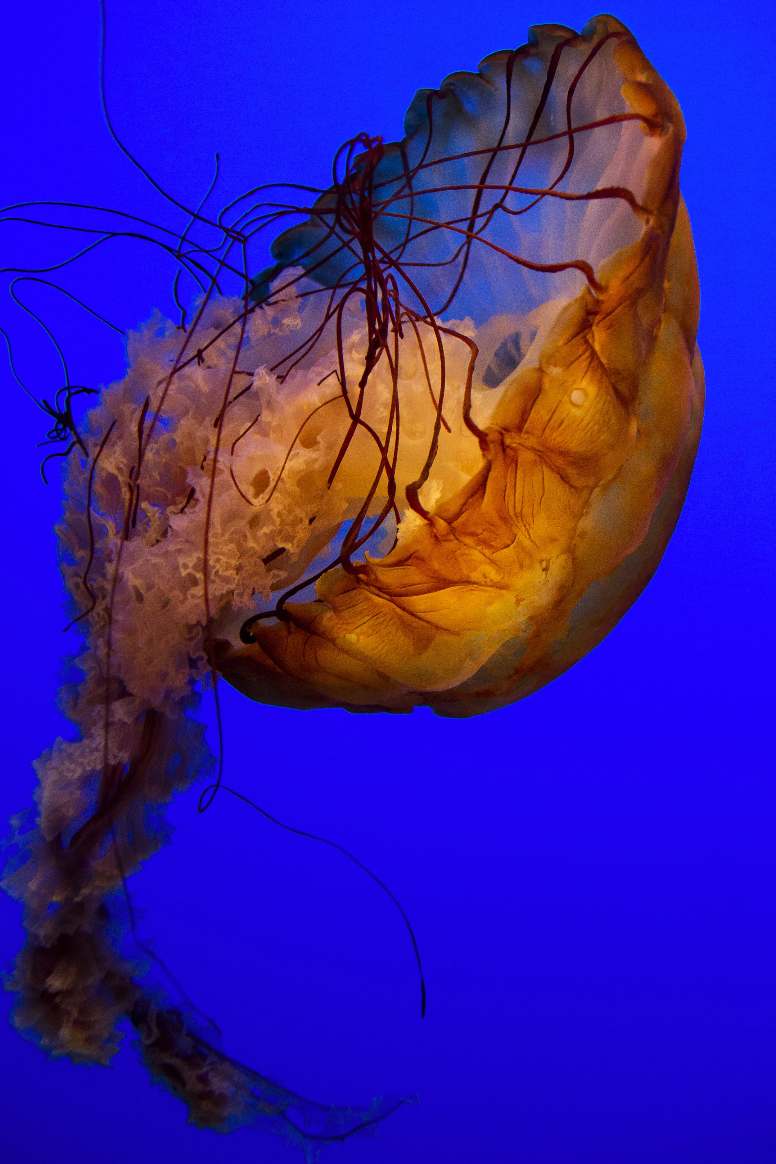 DSC_0272_Clean.jpg