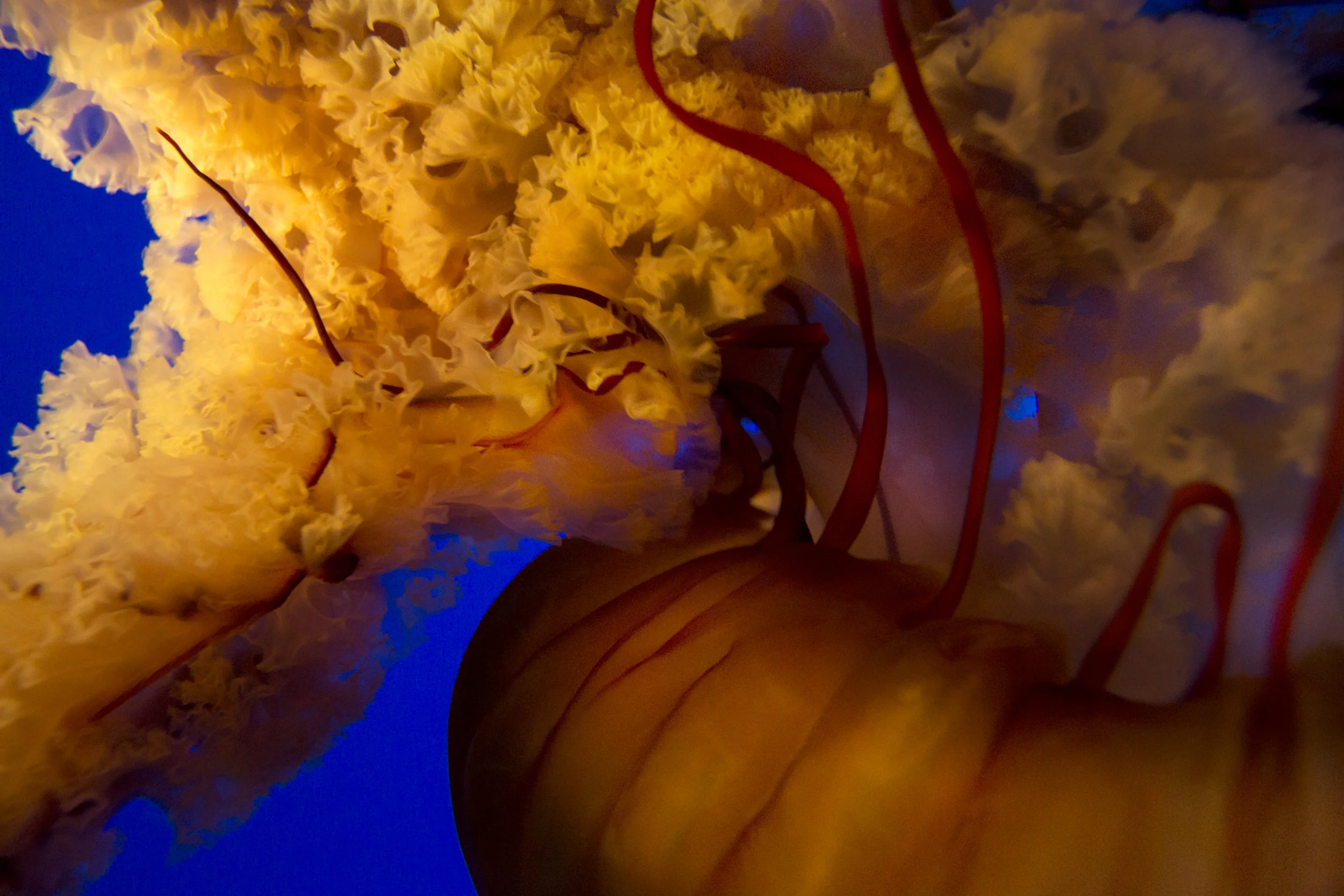 DSC_0286_clean.jpg