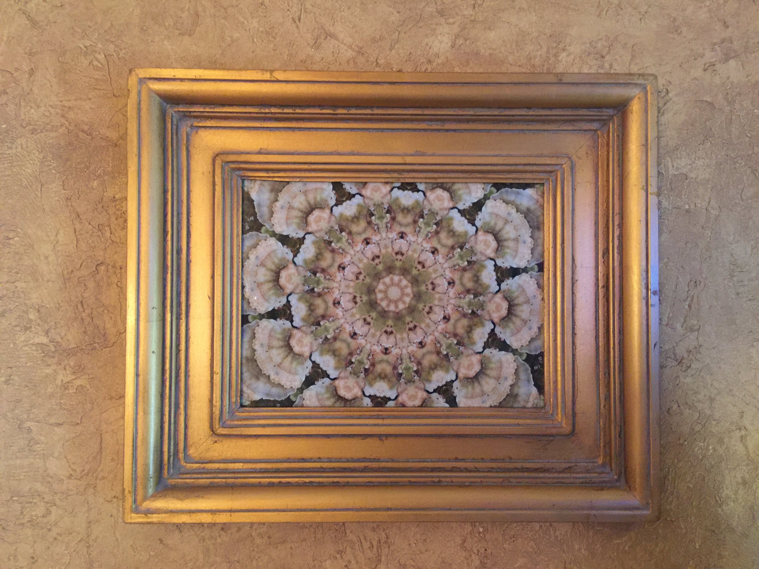 Fungi Series Mandala in Gold Gilded Wall Art