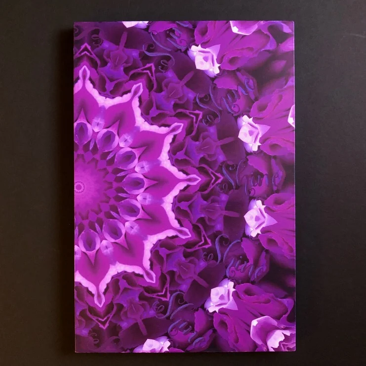 Shine - Purple 12"x18" Canvas 