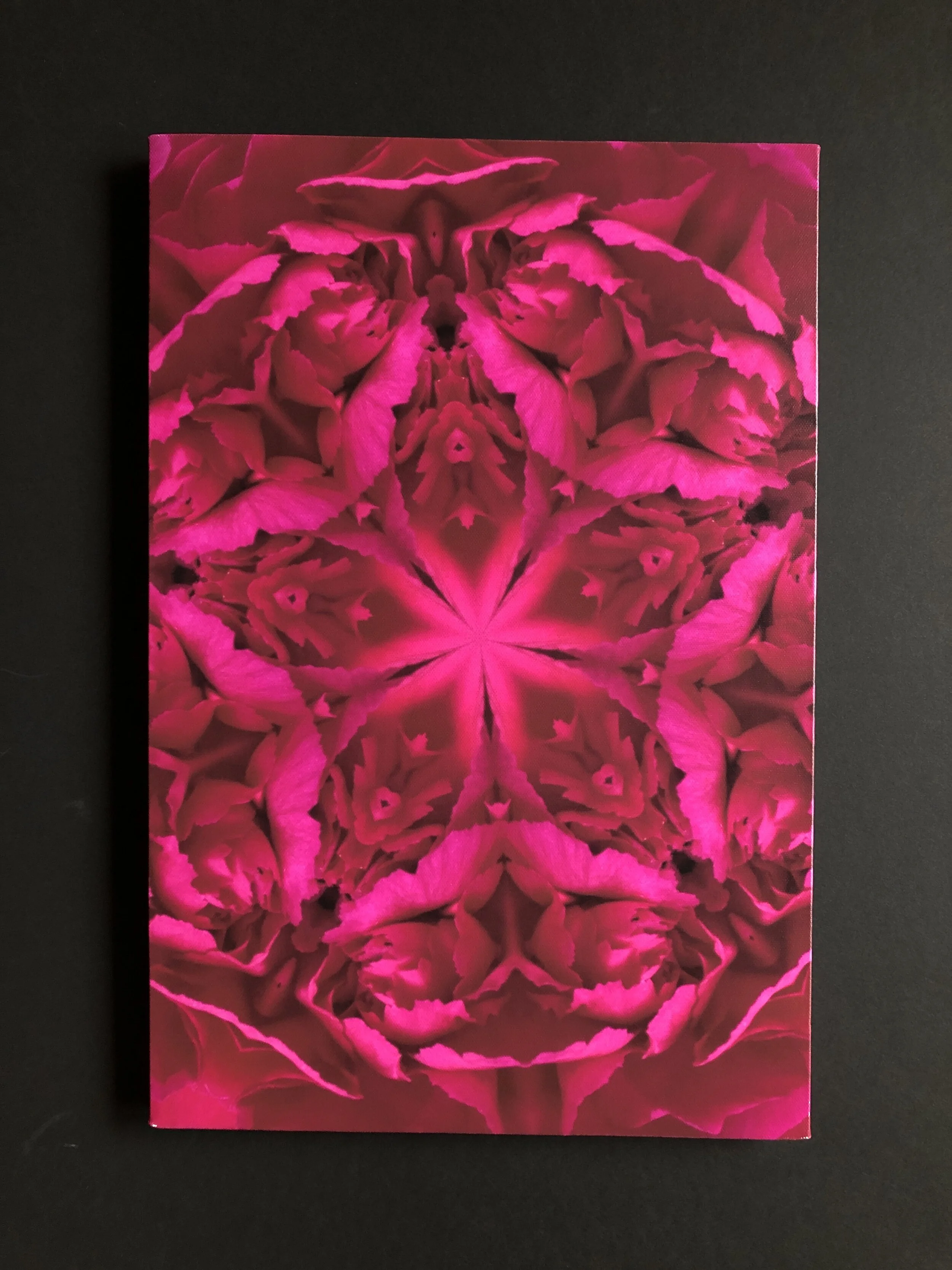 Chrysanthemum1 - Pink 12"x18" Canvas