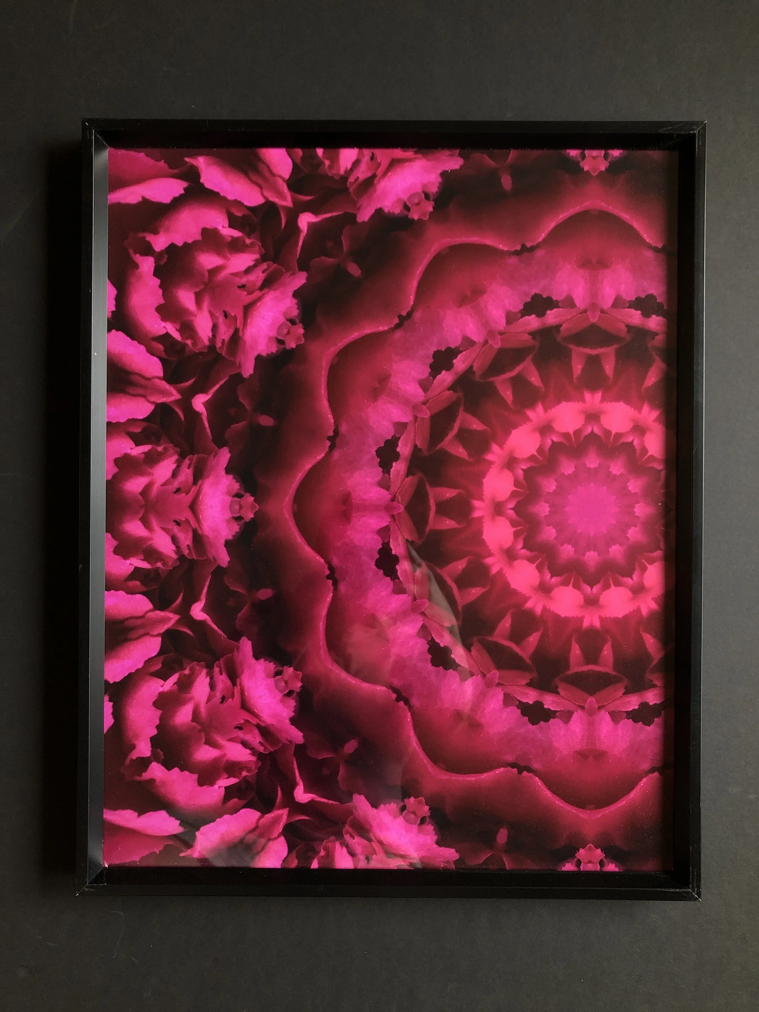 Framed Pink Chrysanthemums - 16.5" x 20.75"