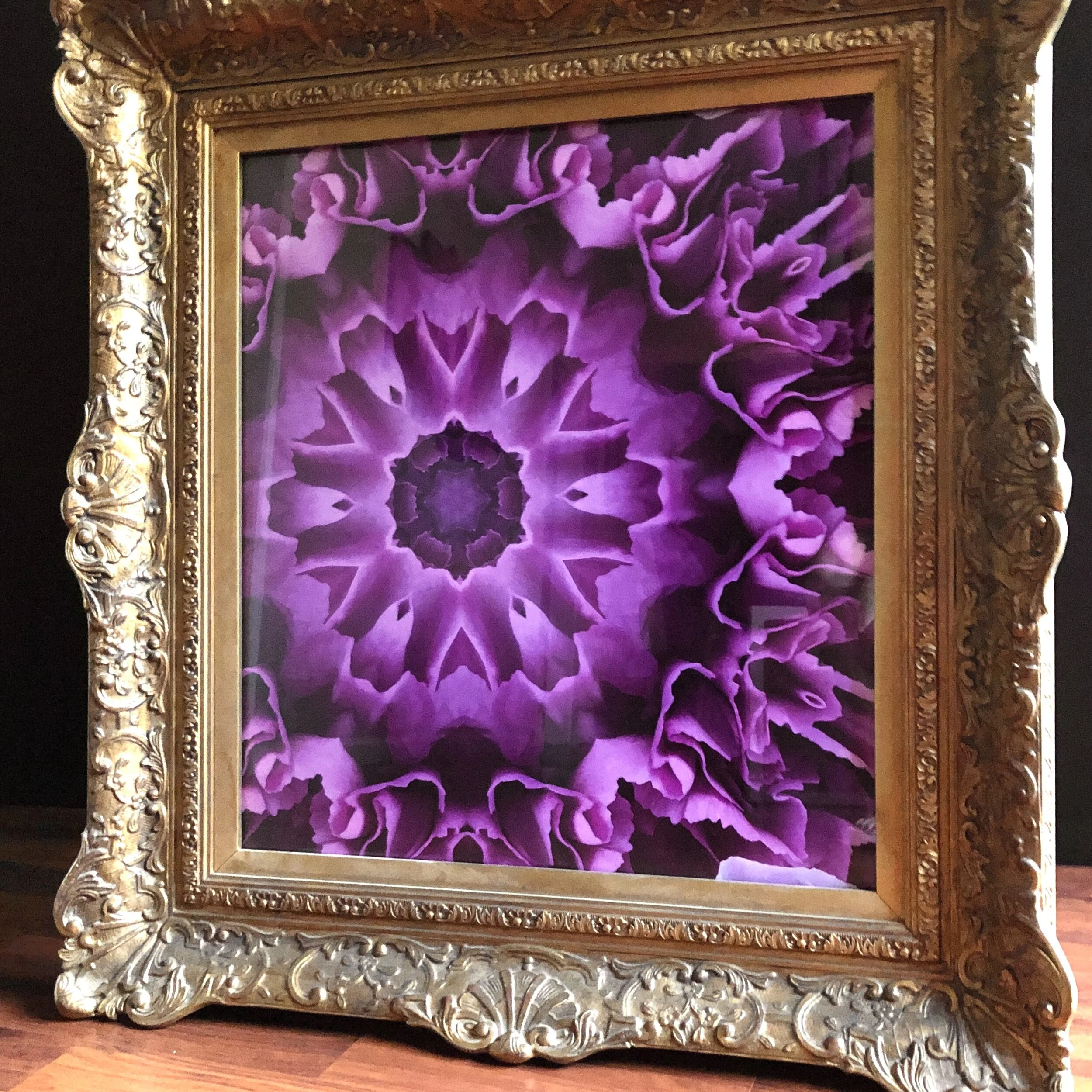 Fuchsia Chrysanthemums Framed Fine Art Print - 25.5"x27.25"