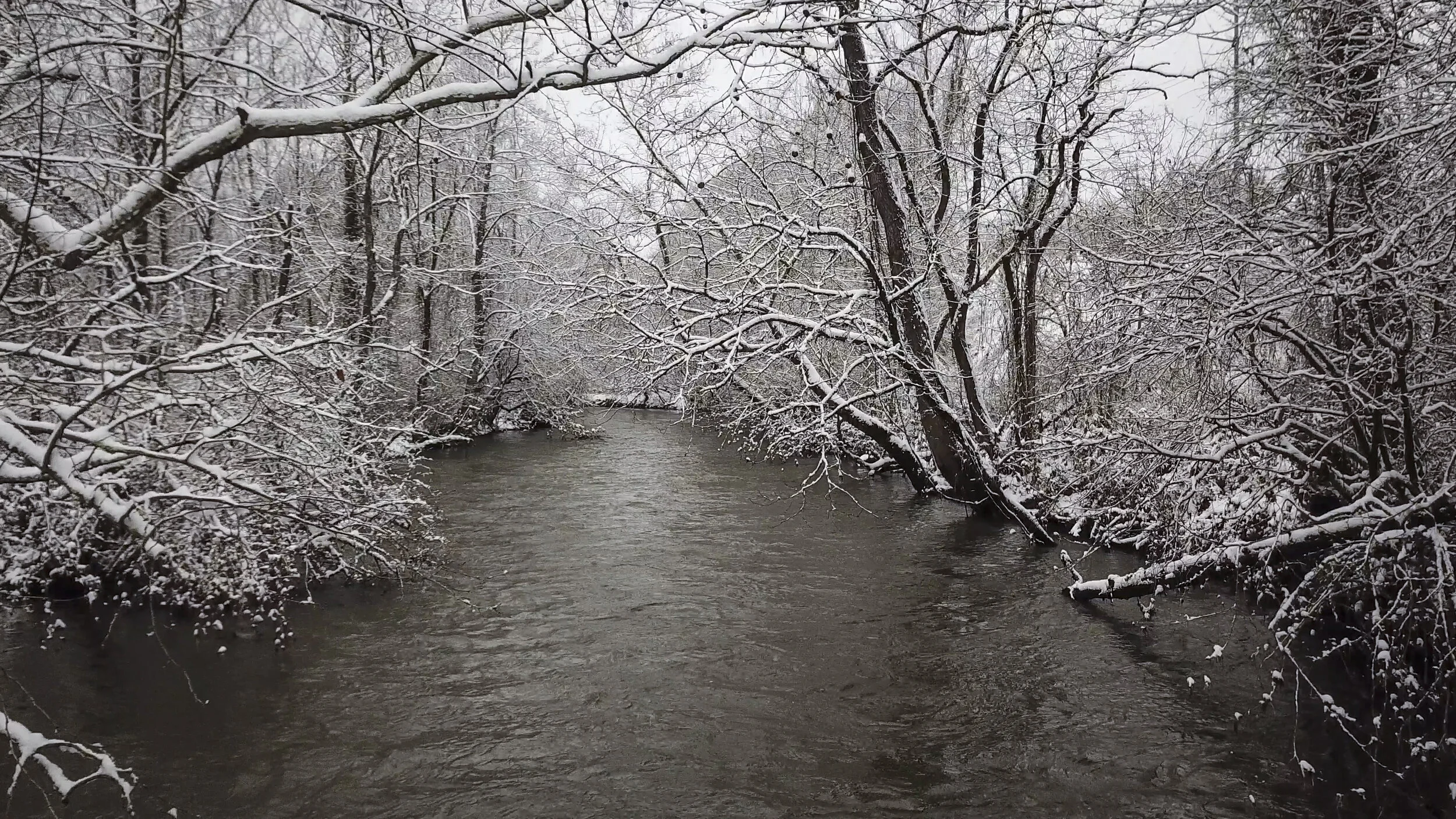Snowy Drone Footage around Murphy, NC