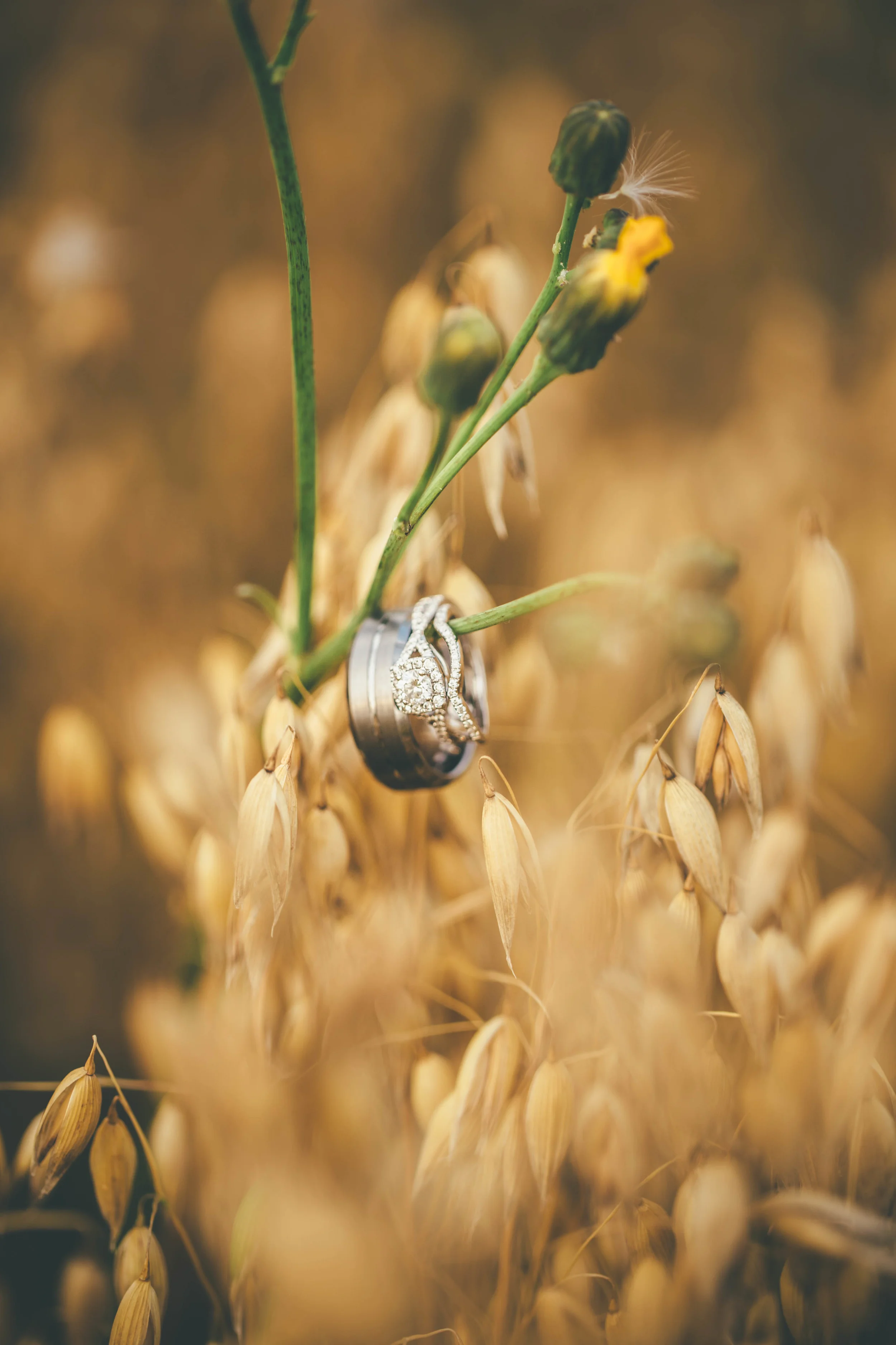 LaneMikaelaWeddingPhotos-38.jpg