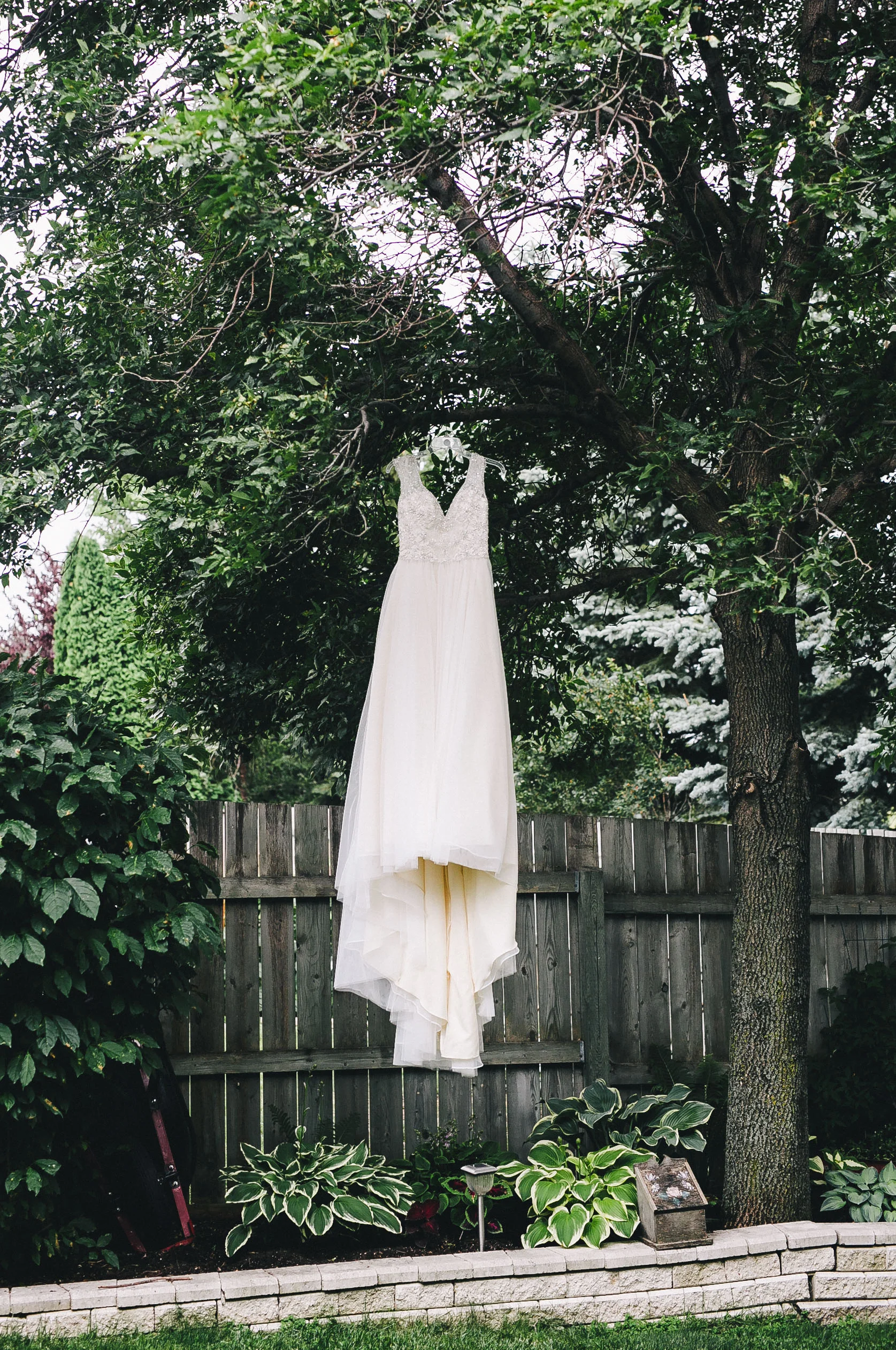 LisaJesse-1.jpg