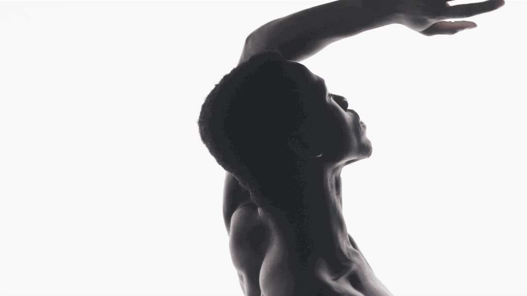 gif polycoro 2.gif