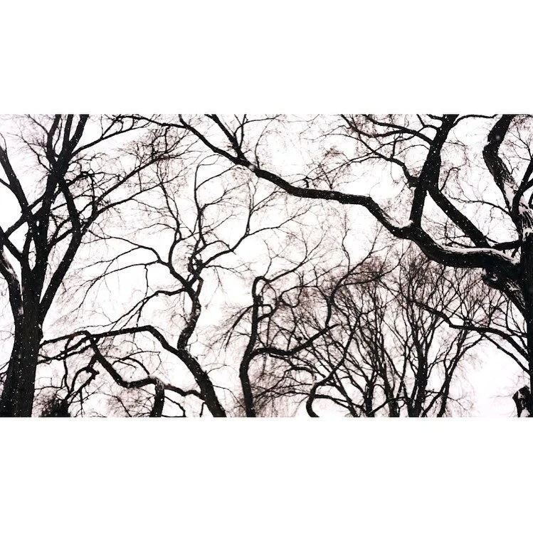 Capturing snow is pretty rewarding - especially at night ⏩⏩. Just that little bit of backlight gives a lot of sparkle.