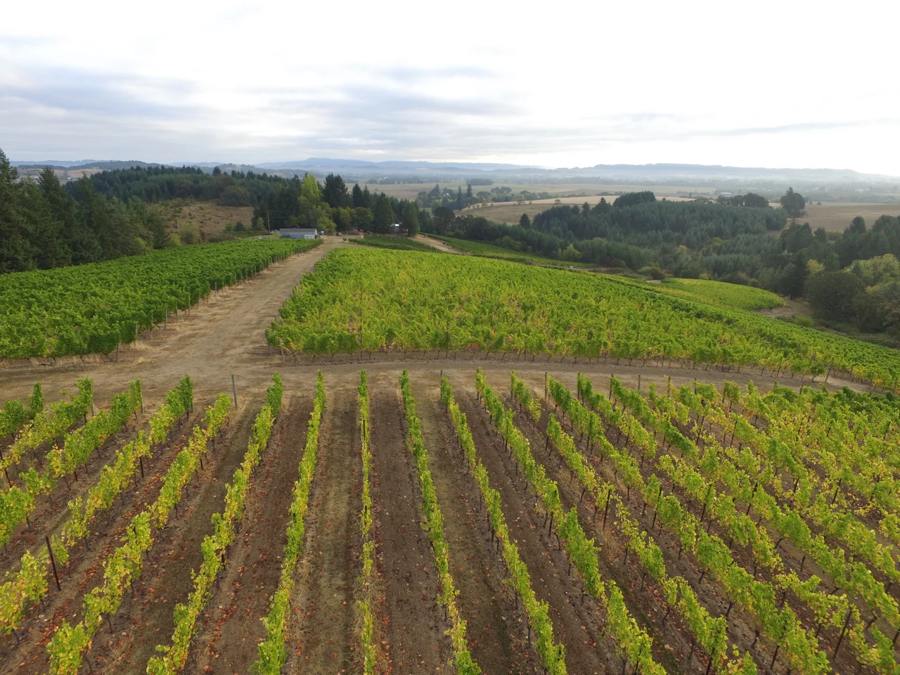 DJI_0013.jpg