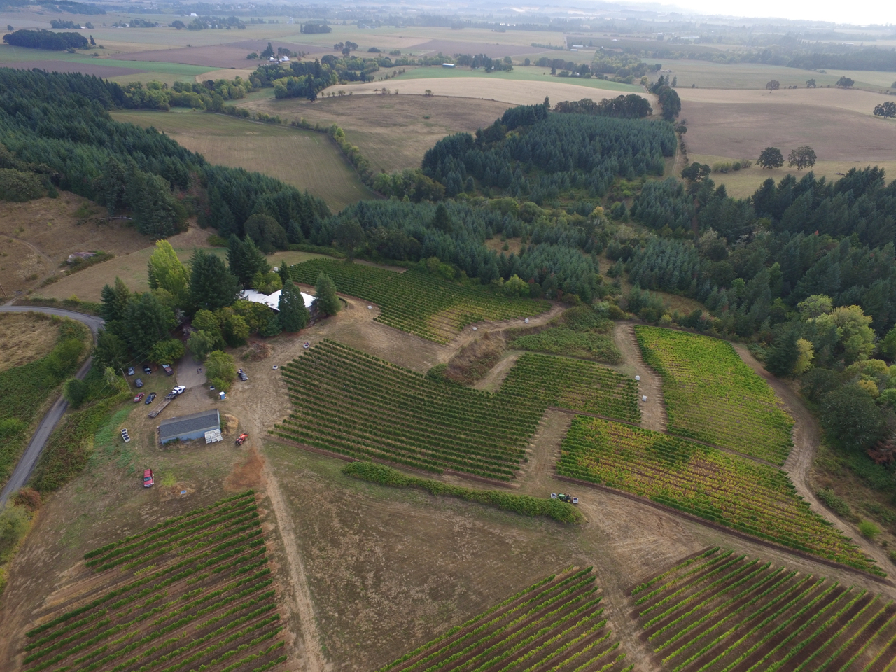 DJI_0001.jpg