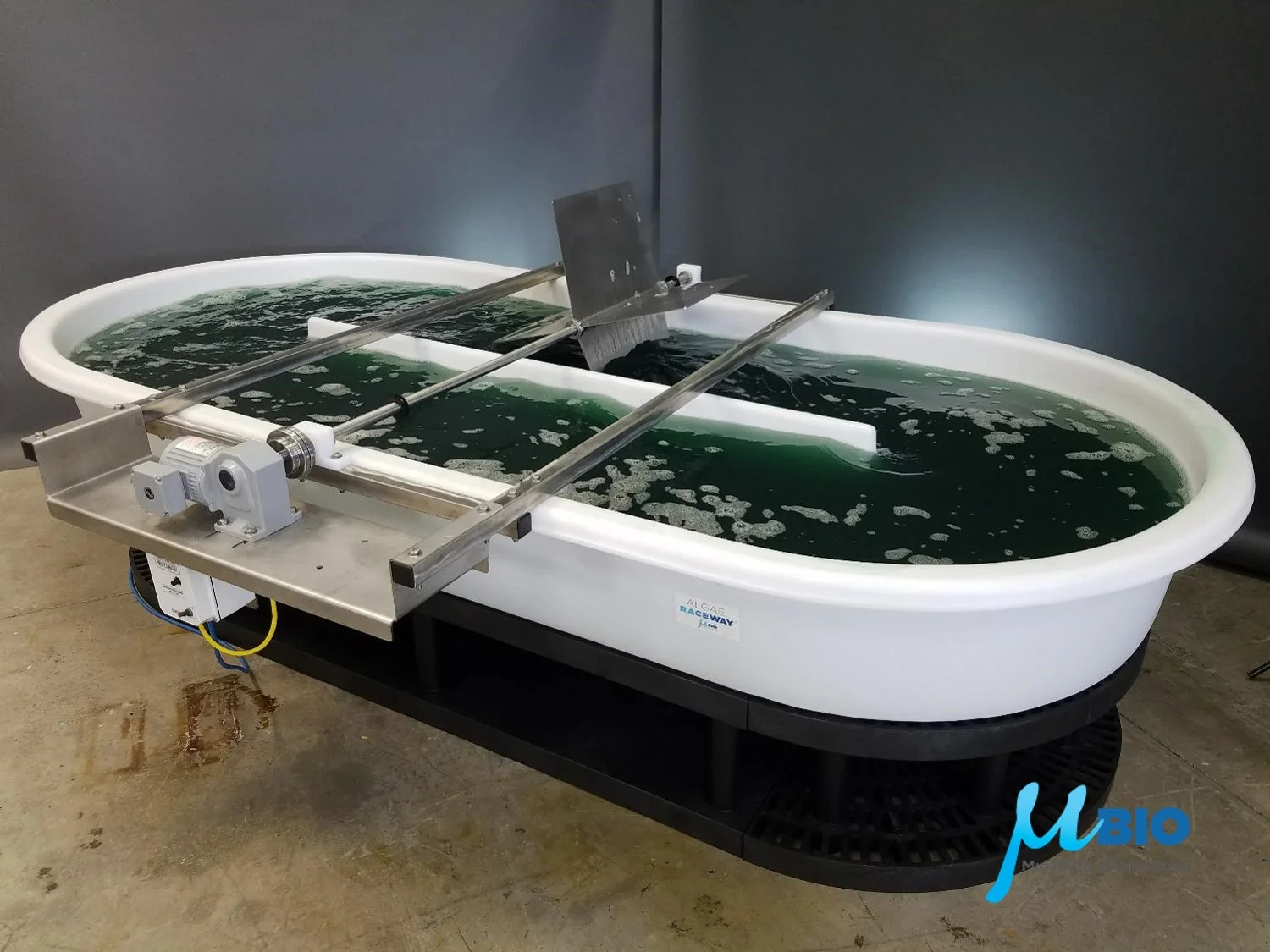 A Big Step Forward for Pilot Algae Raceways — MicroBio Engineering