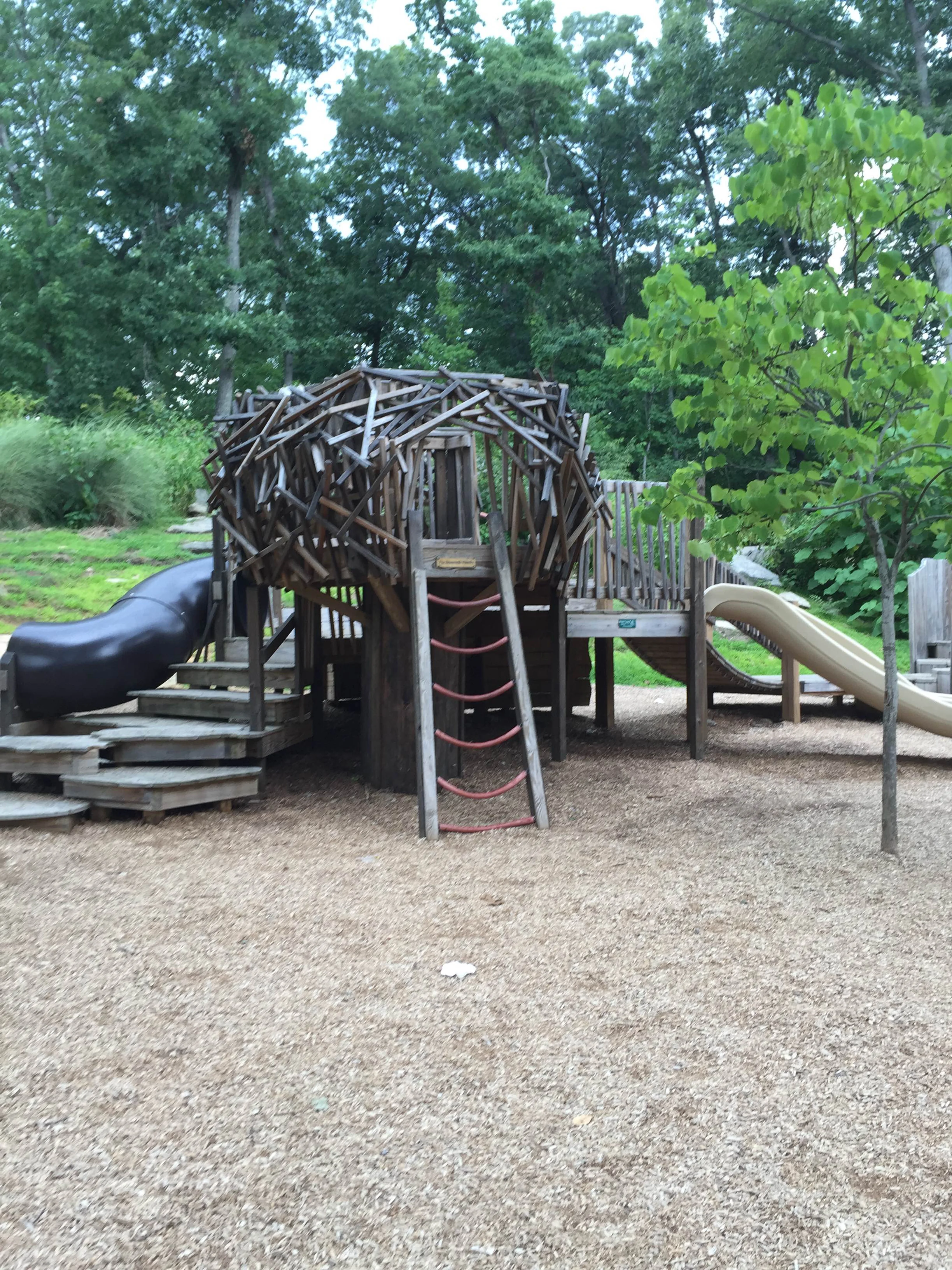 The Nature Playground