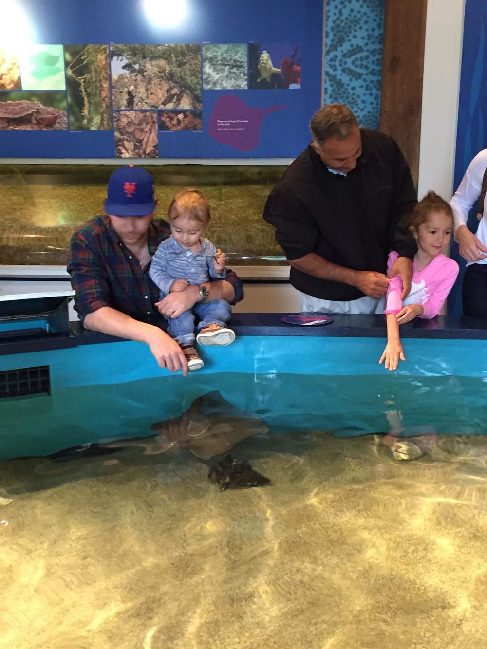 Touch sting rays