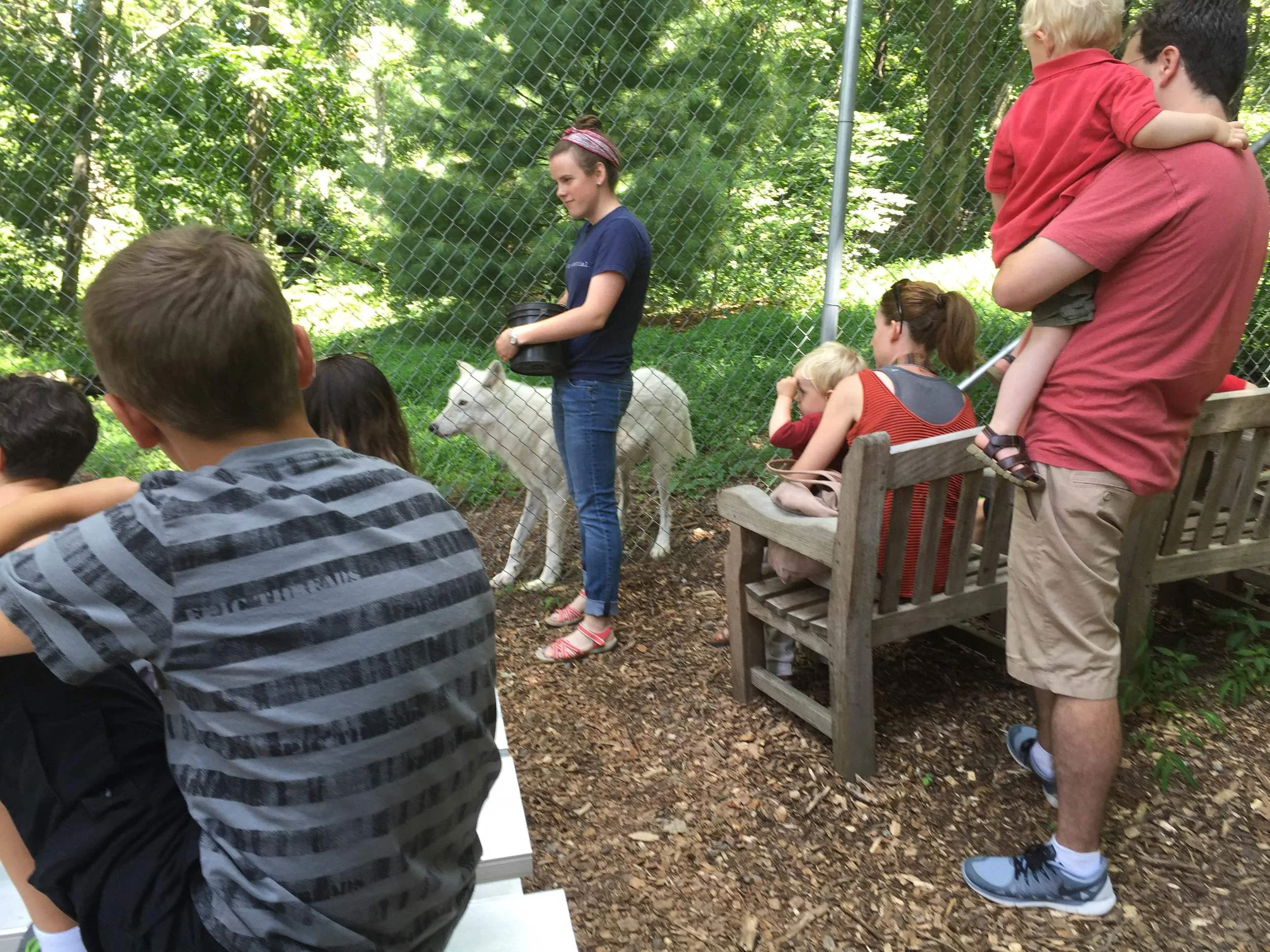 Wolf Conservation Center