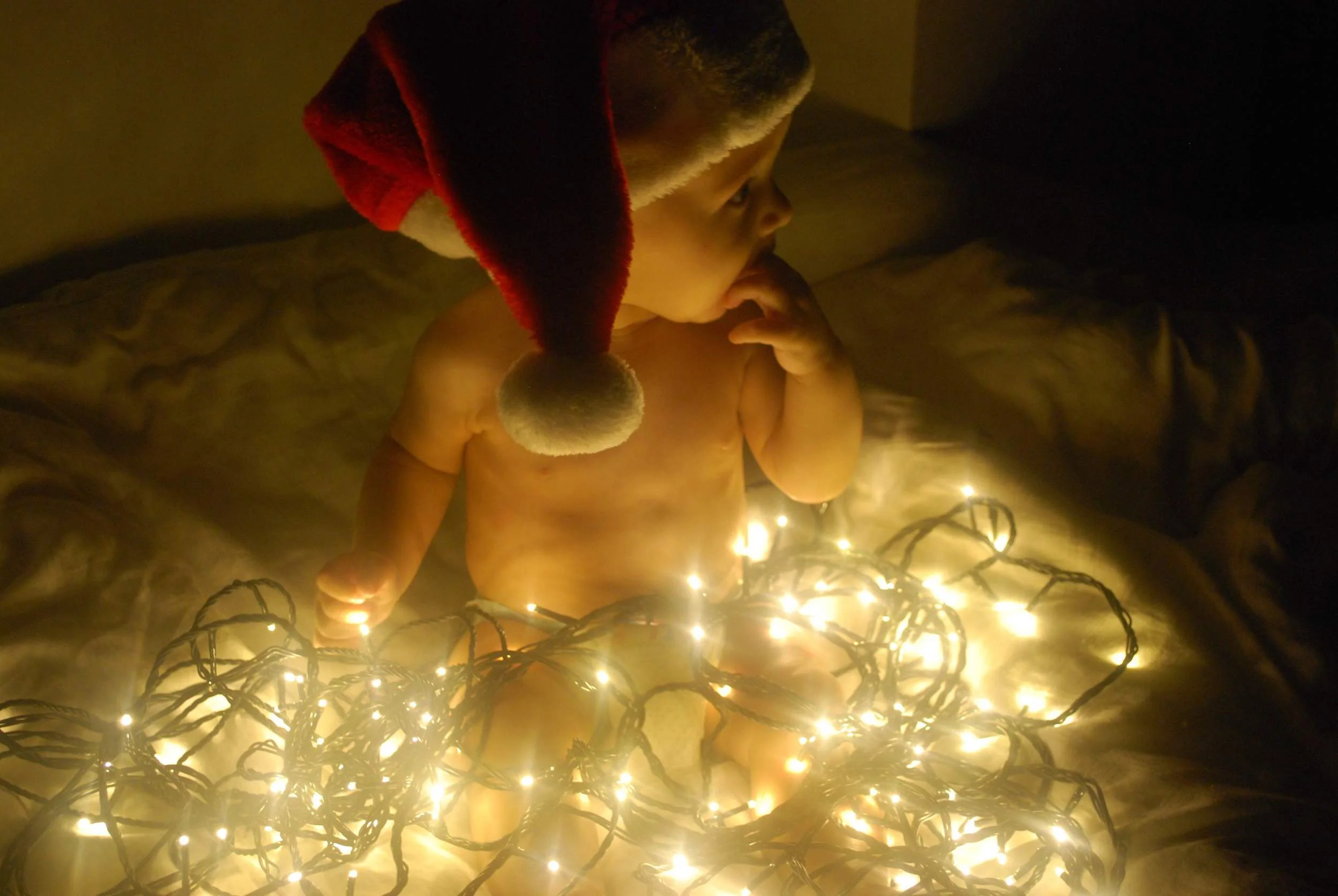 Our holiday photographers selects