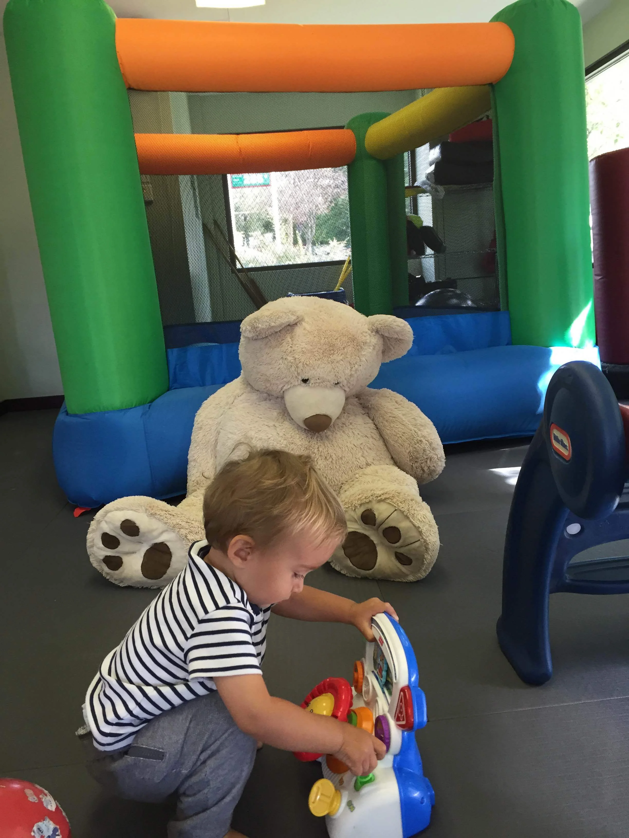 teddy play gym