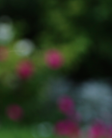 BGC banner.png