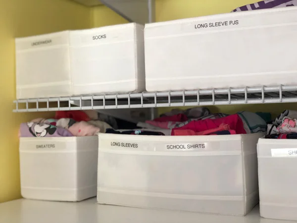 BGC-Kondo12.jpg