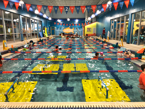 Spotlight: Goldfish Swim School Splashes into Westchester — BabyGotChat.com