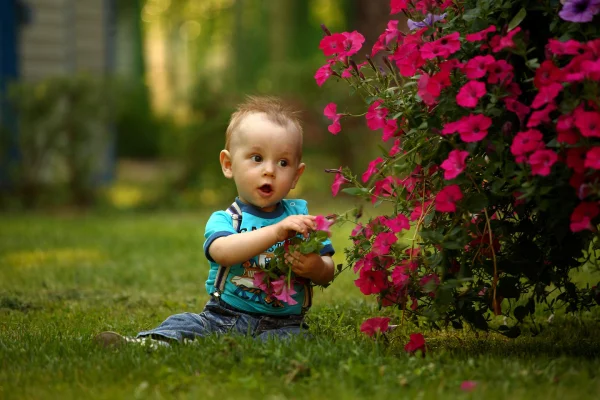 baby-1531068_1920.jpg