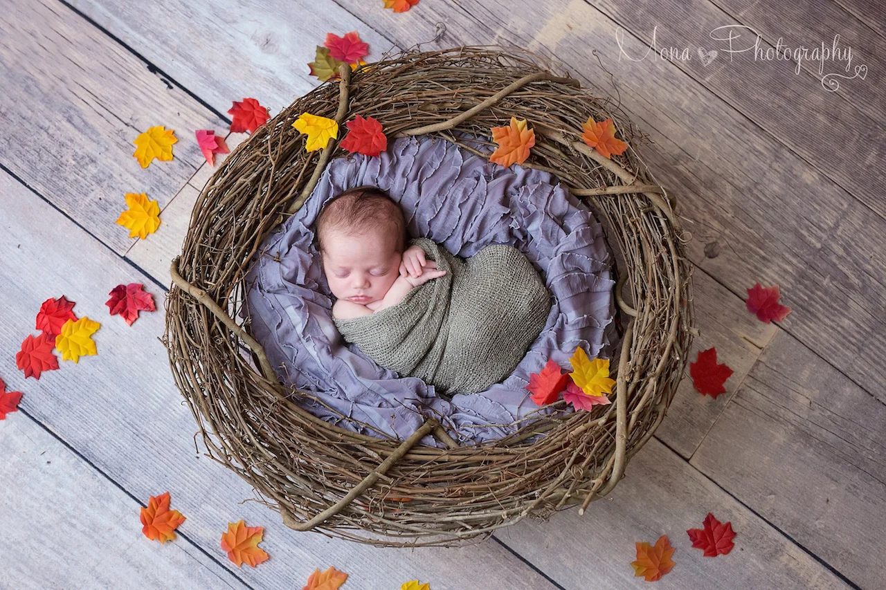 Joshua Fall logo V2 copy.jpg