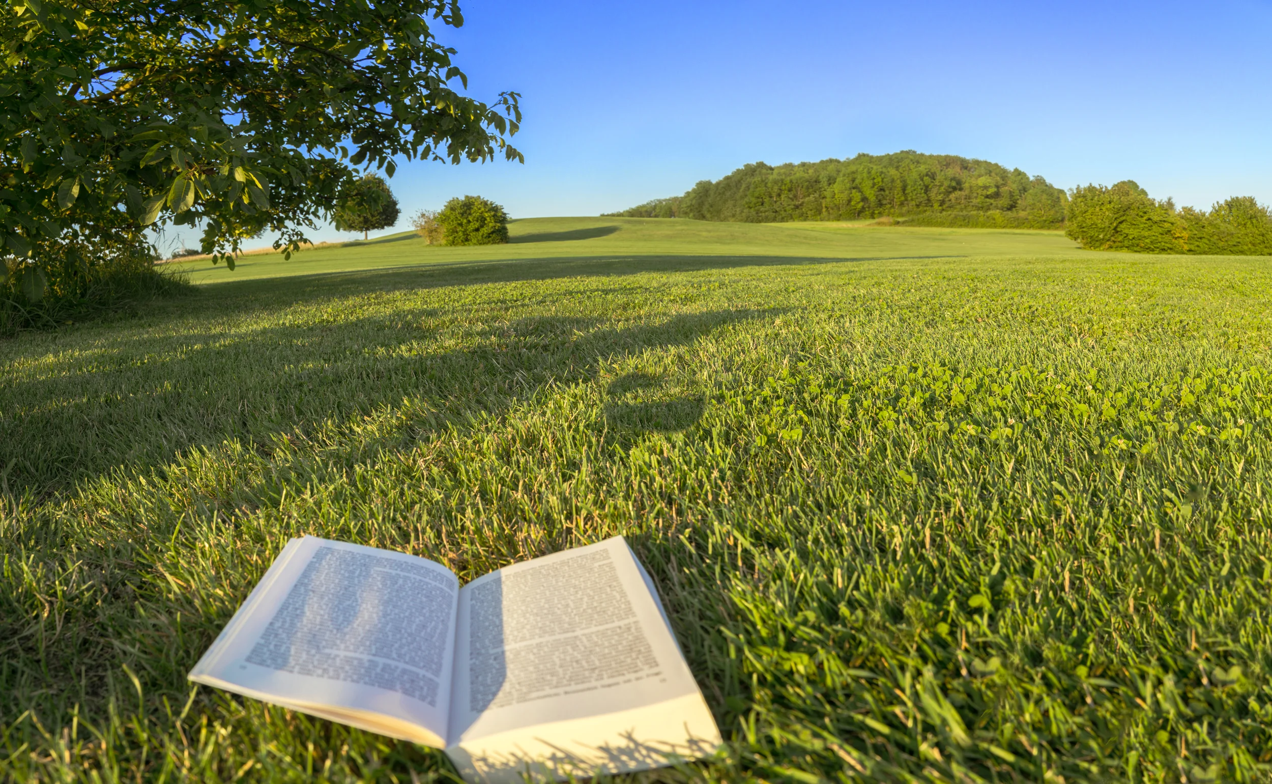 iStock-828161128.jpg
