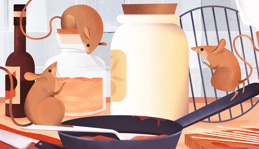 mice_small_fb_beejohnson2.jpg