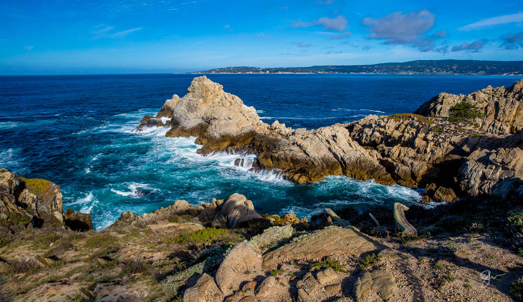 Point Lobos-1.jpg