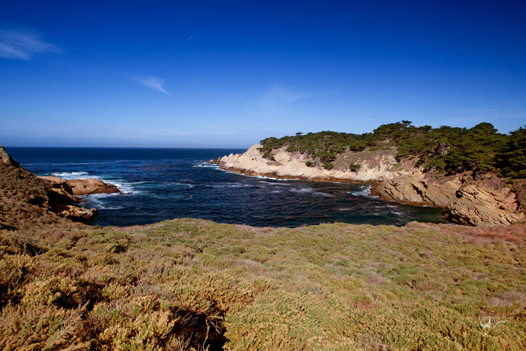 Point Lobos-4.jpg