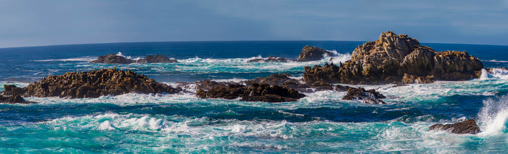 Point Lobos-6.jpg