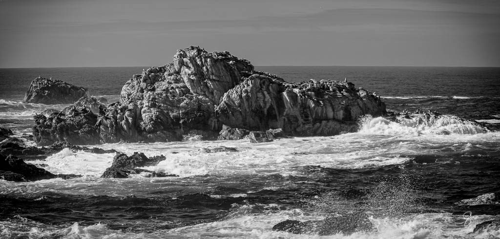Point Lobos-8.jpg