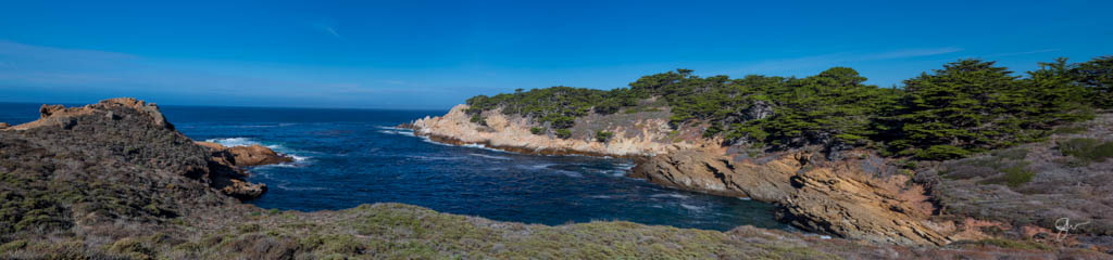 Point Lobos-9.jpg