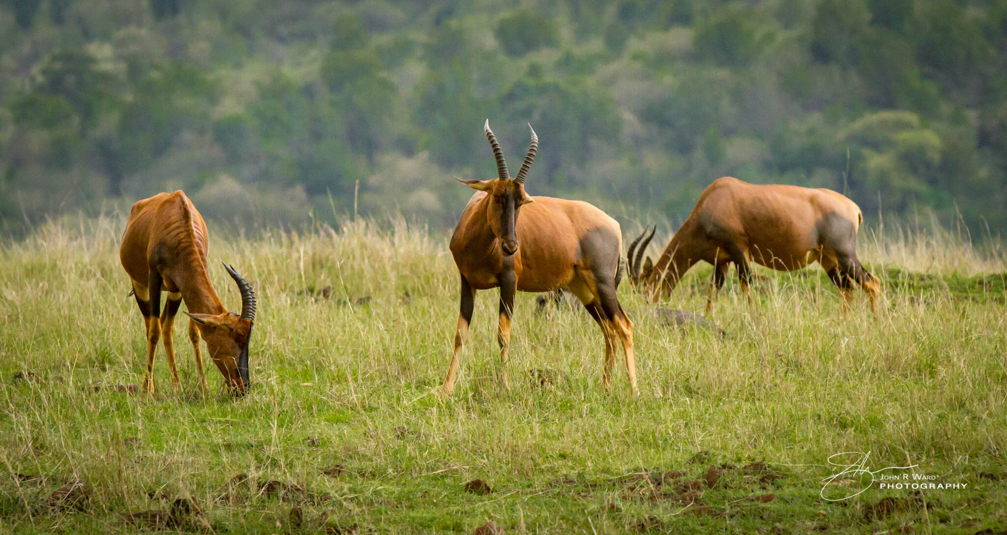 2014 Kenya-25.jpg