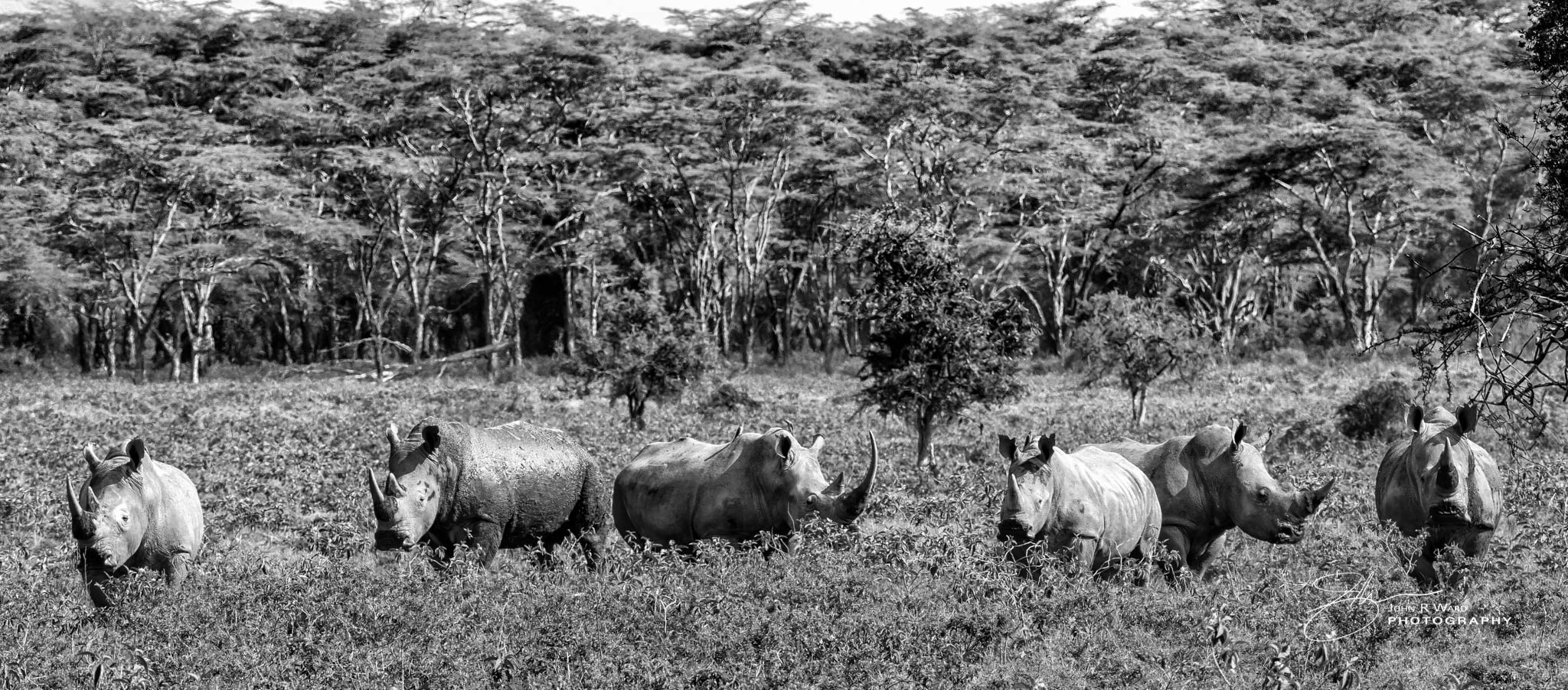 2014 Kenya-383-2.jpg