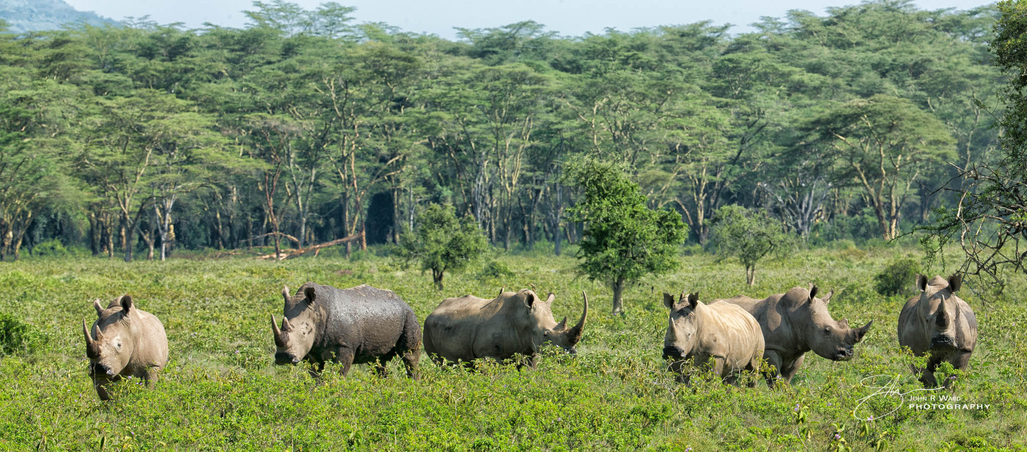 2014 Kenya-383.jpg