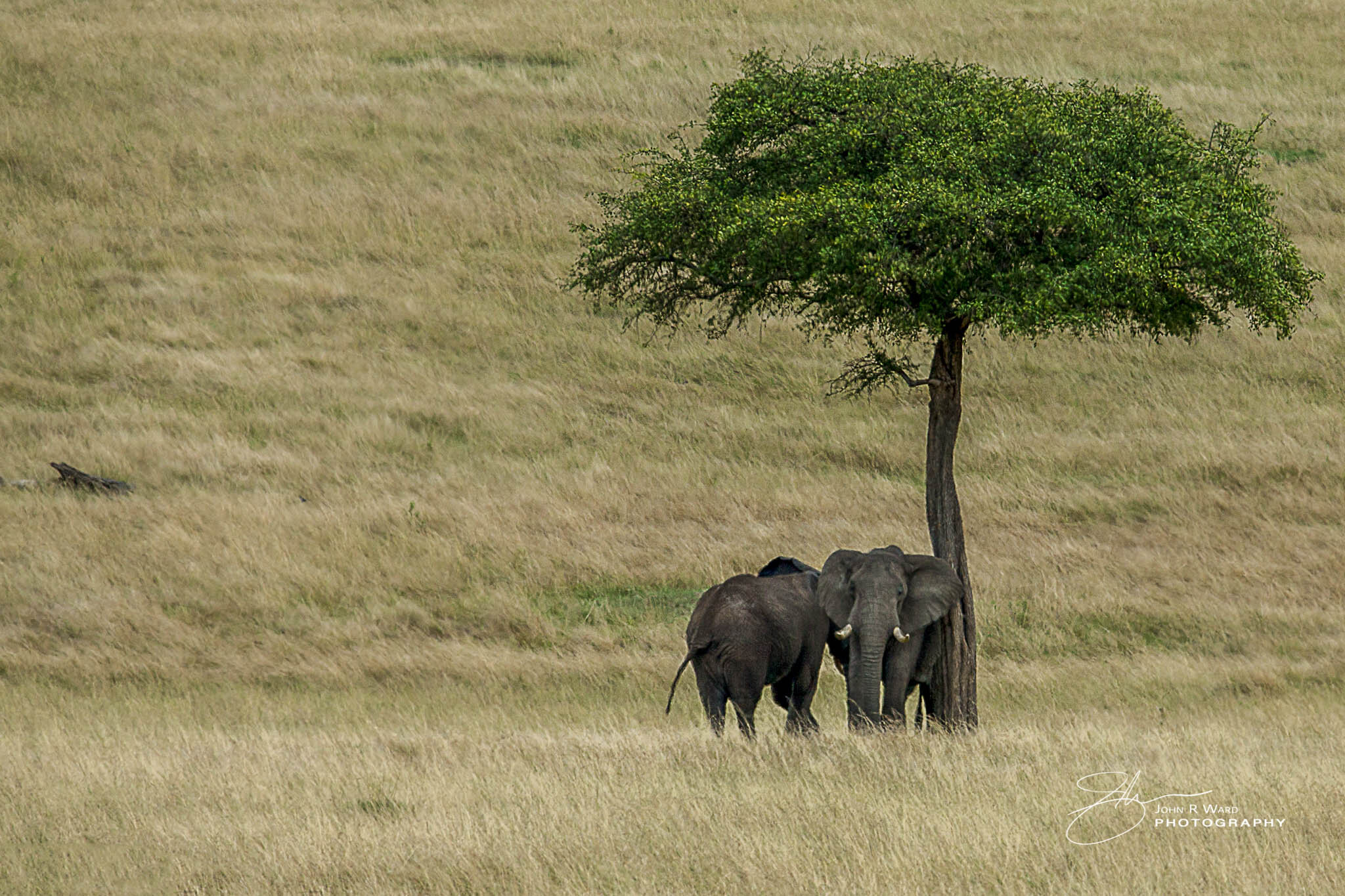 2014 Kenya-424.jpg