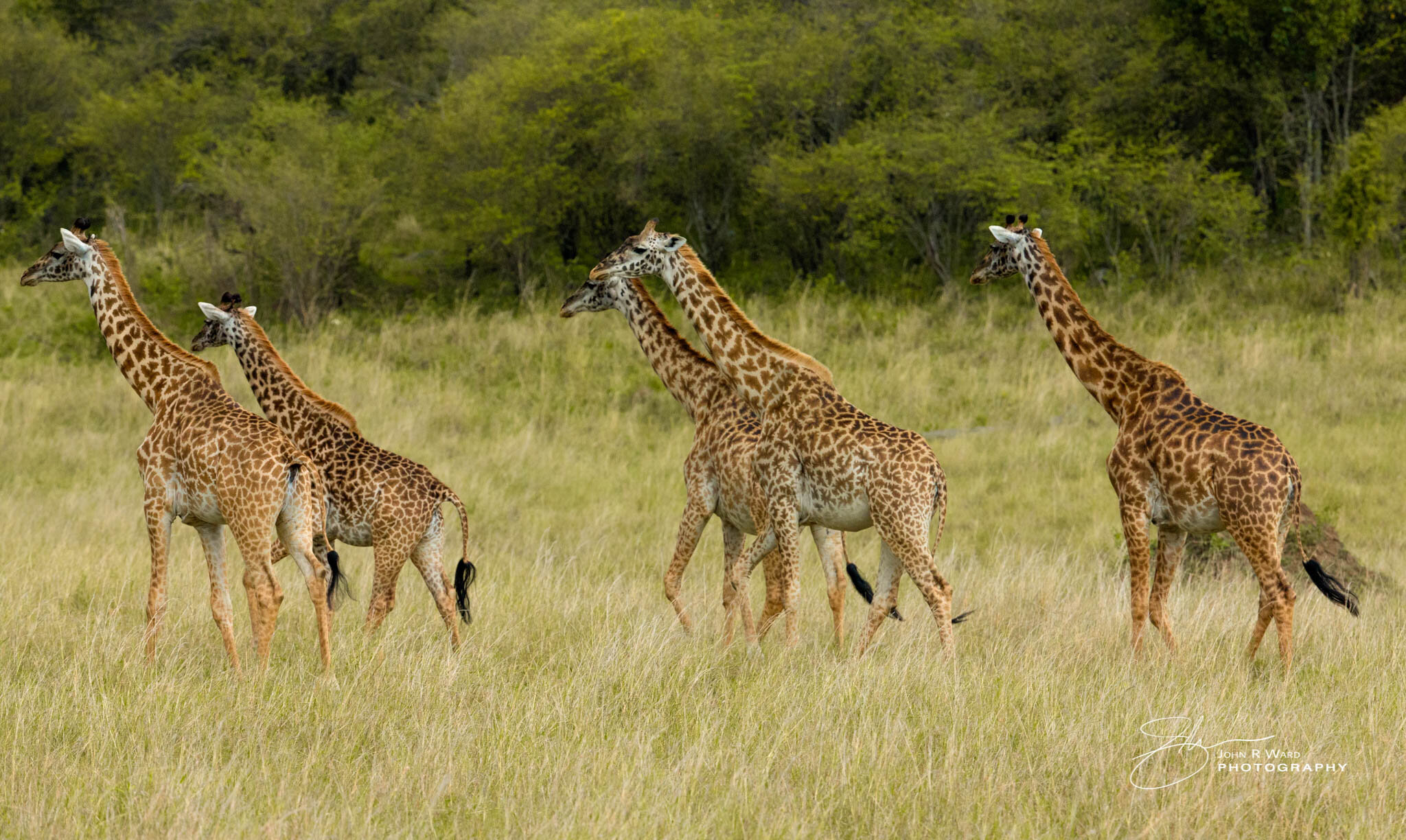 2014 Kenya-437.jpg