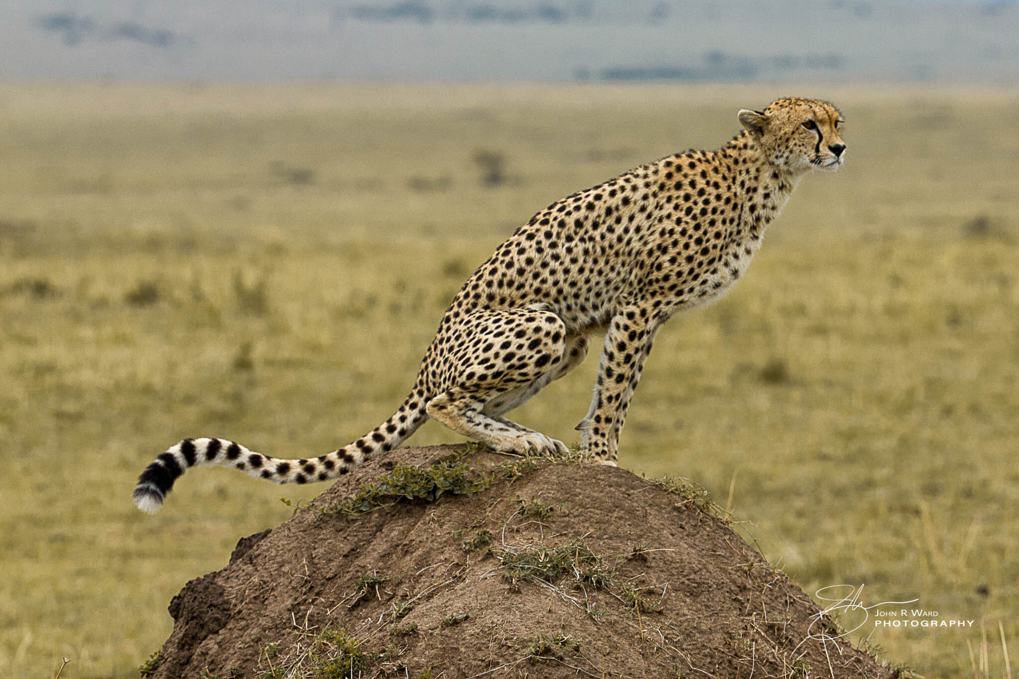 2014 Kenya-481.jpg